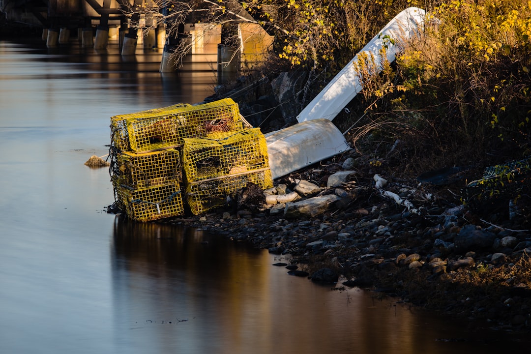 yellow and black metal crate on brown wooden dock over river