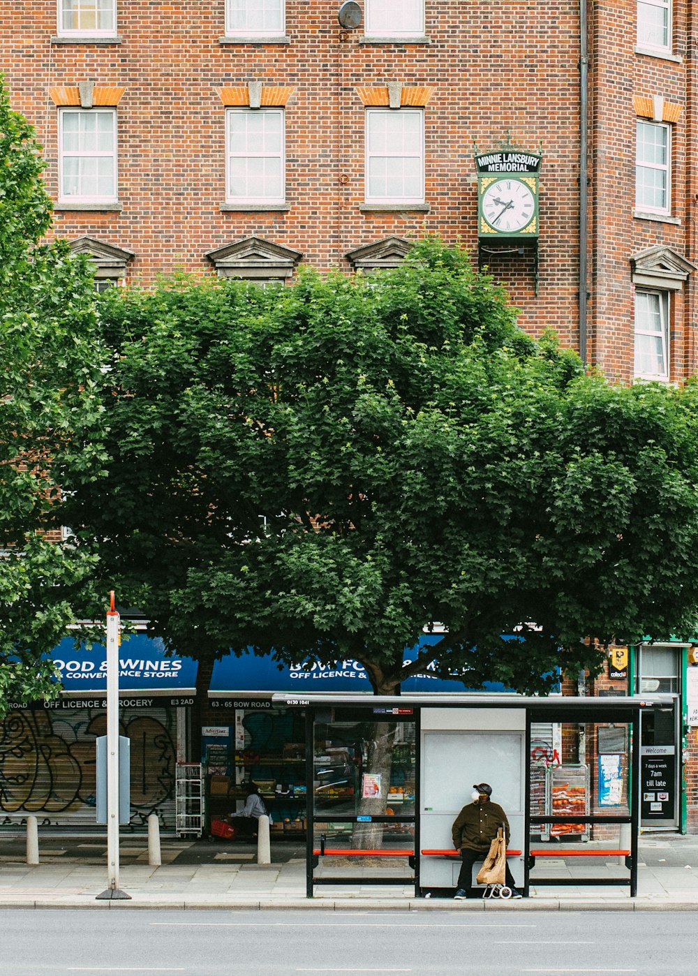 green tree near brown concrete building during daytime