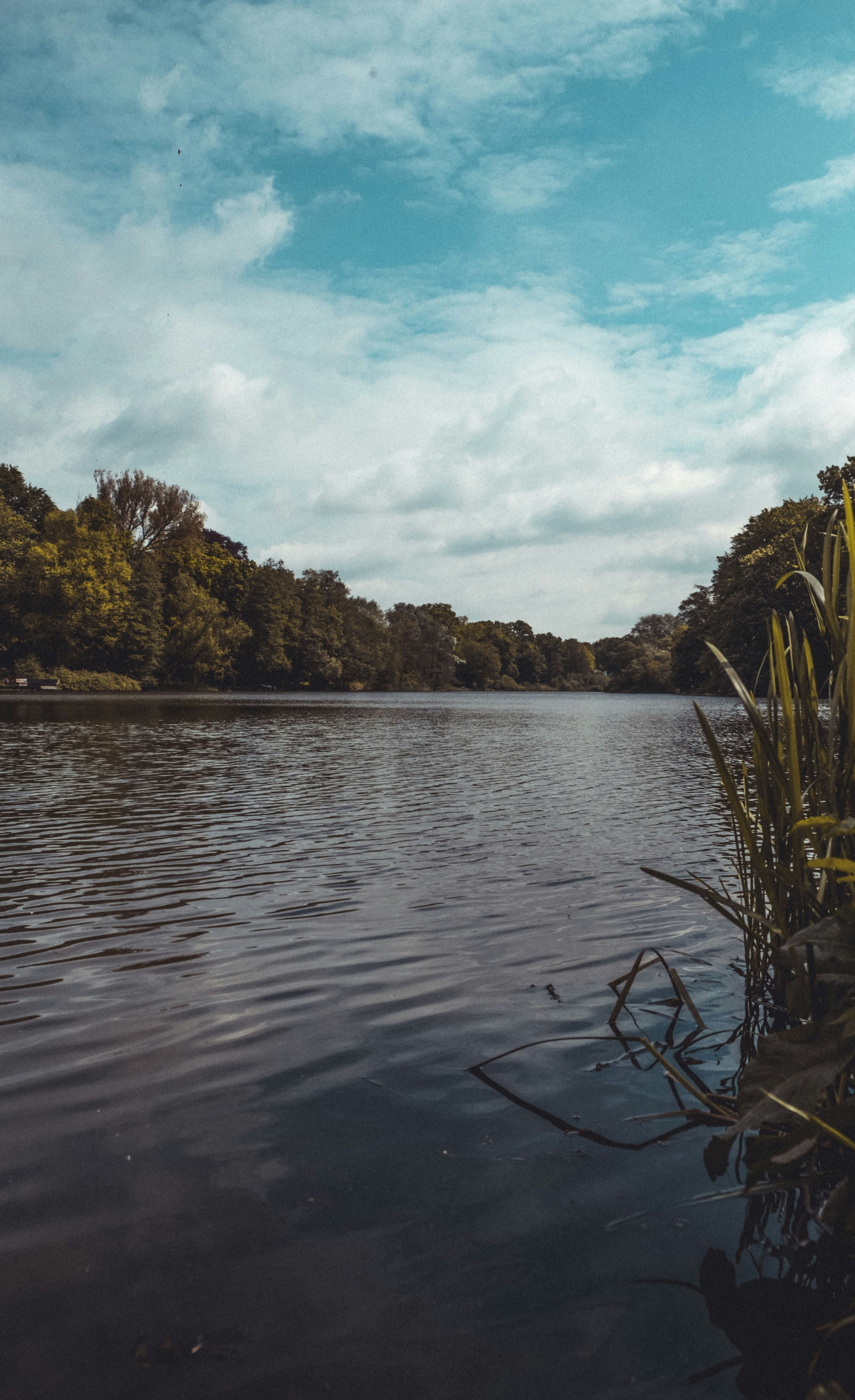 Photo by moritz_photography