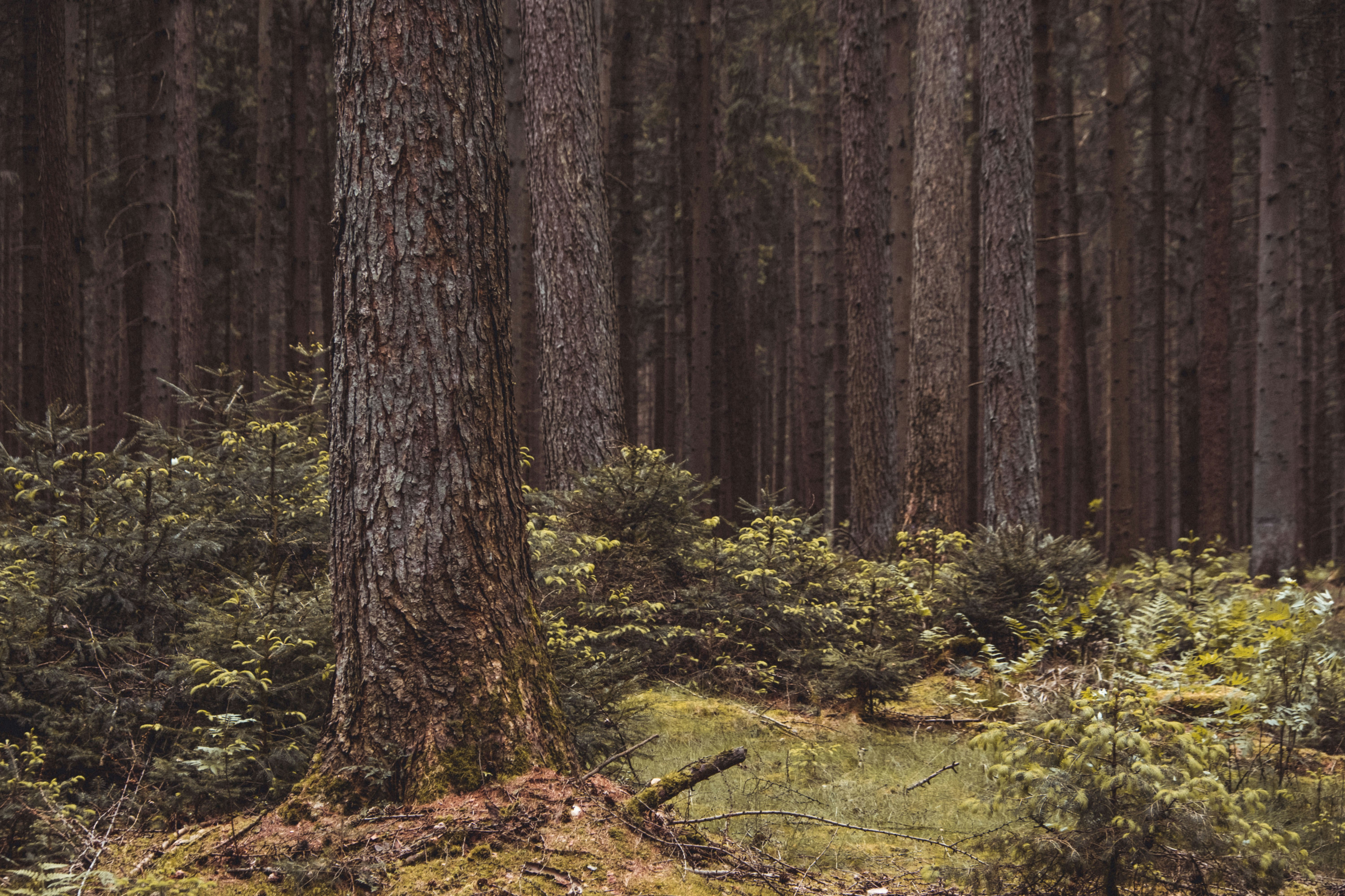 Photo by moritz_photography