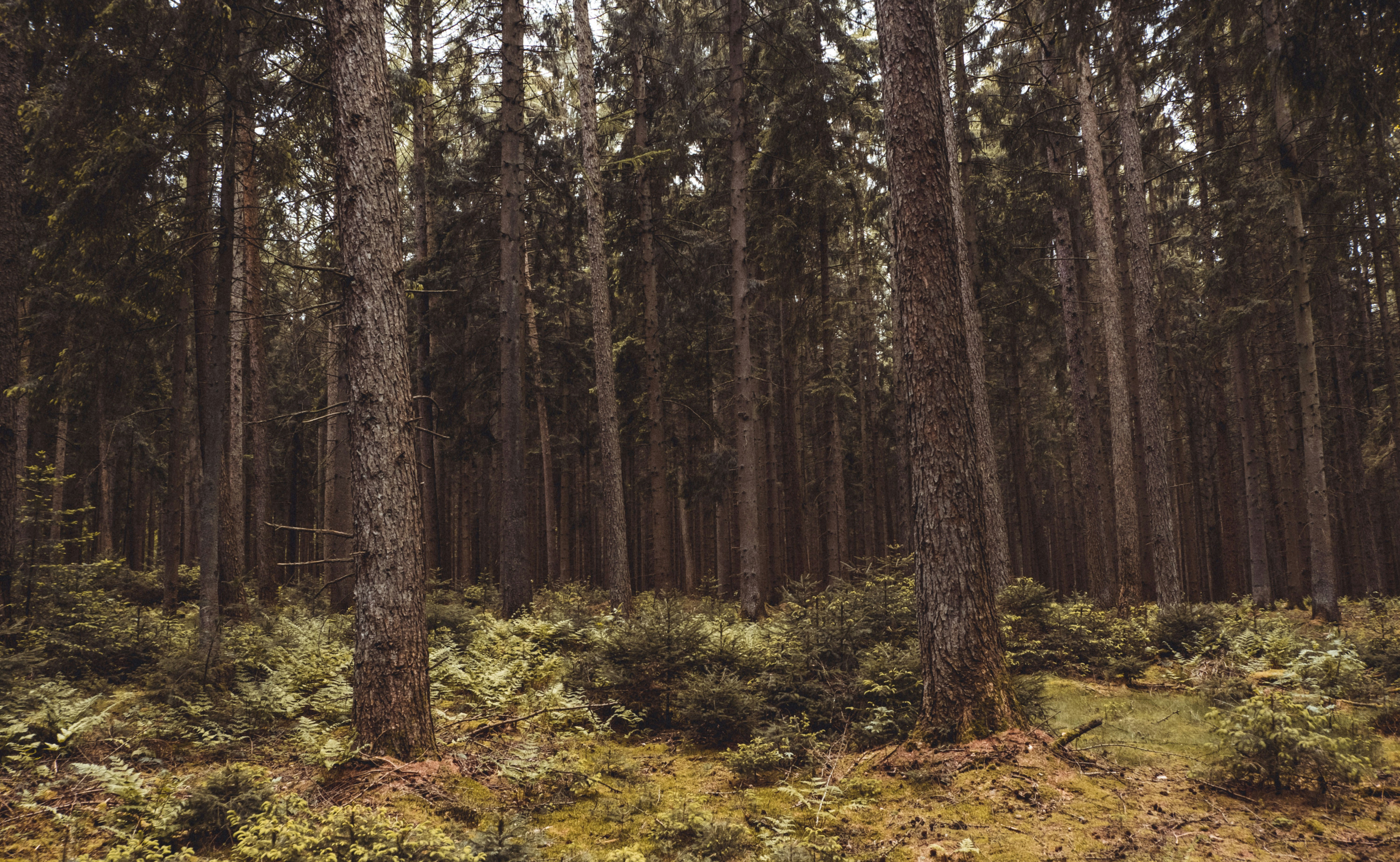 Photo by moritz_photography