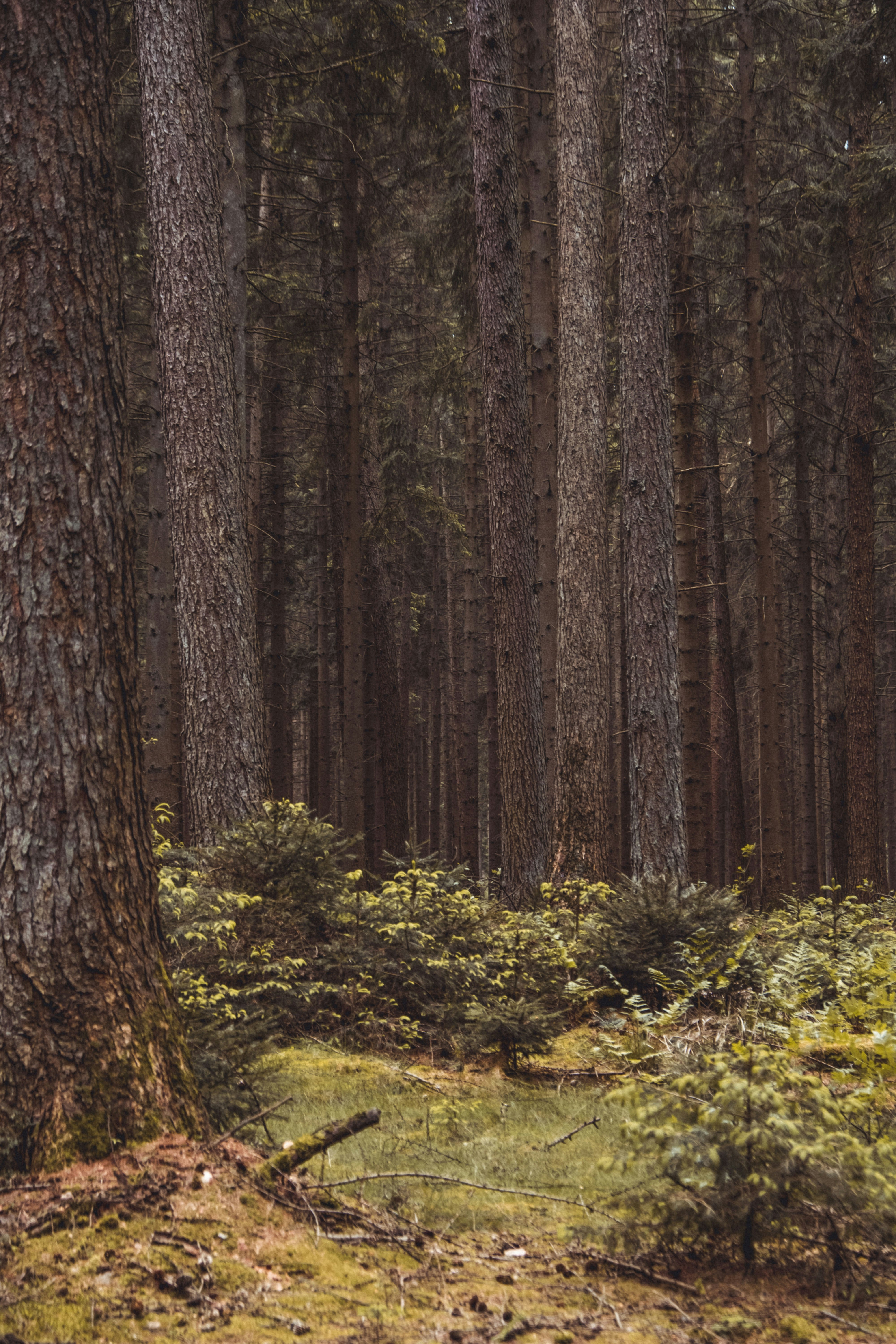 Photo by moritz_photography