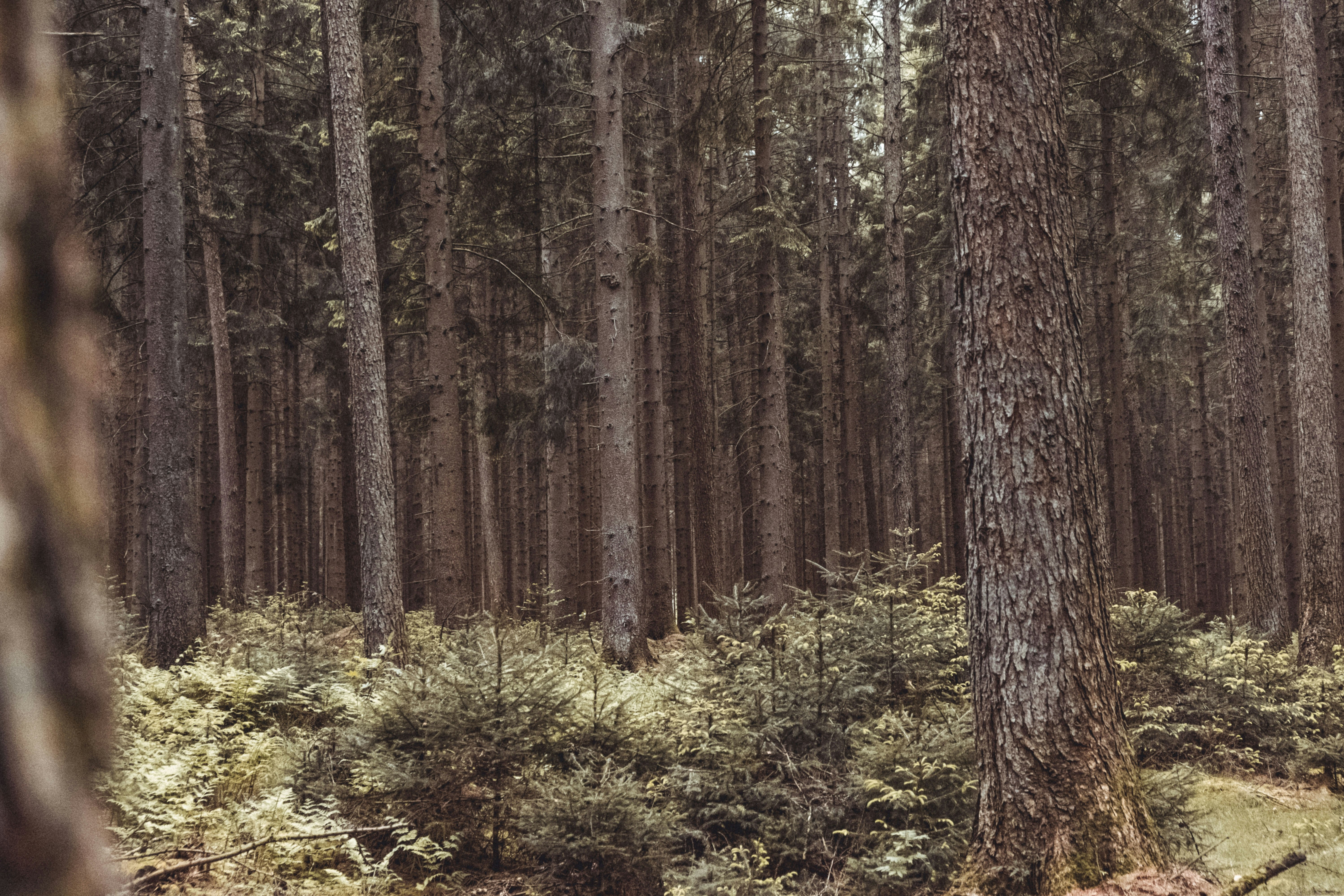 Photo by moritz_photography