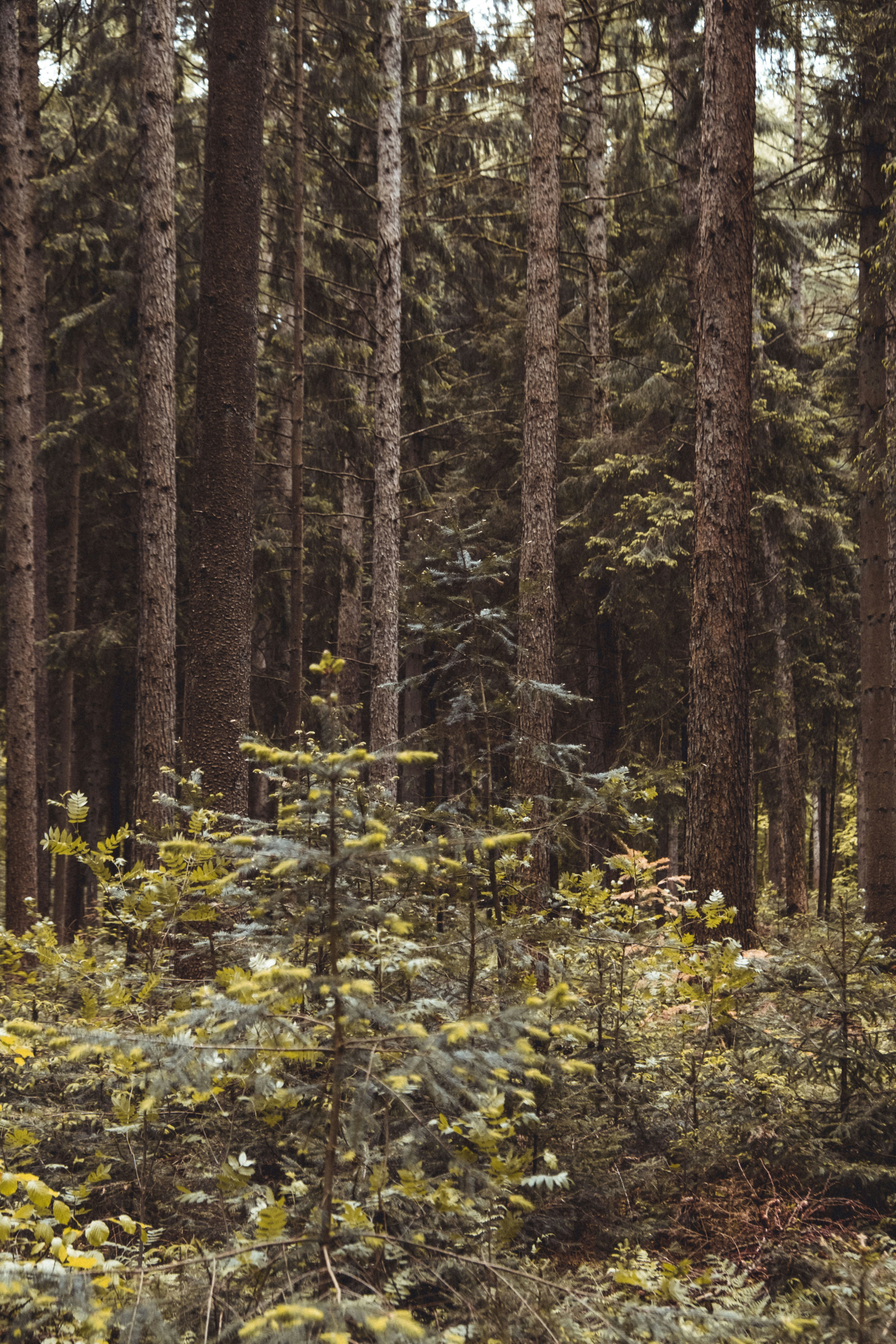 Photo by moritz_photography