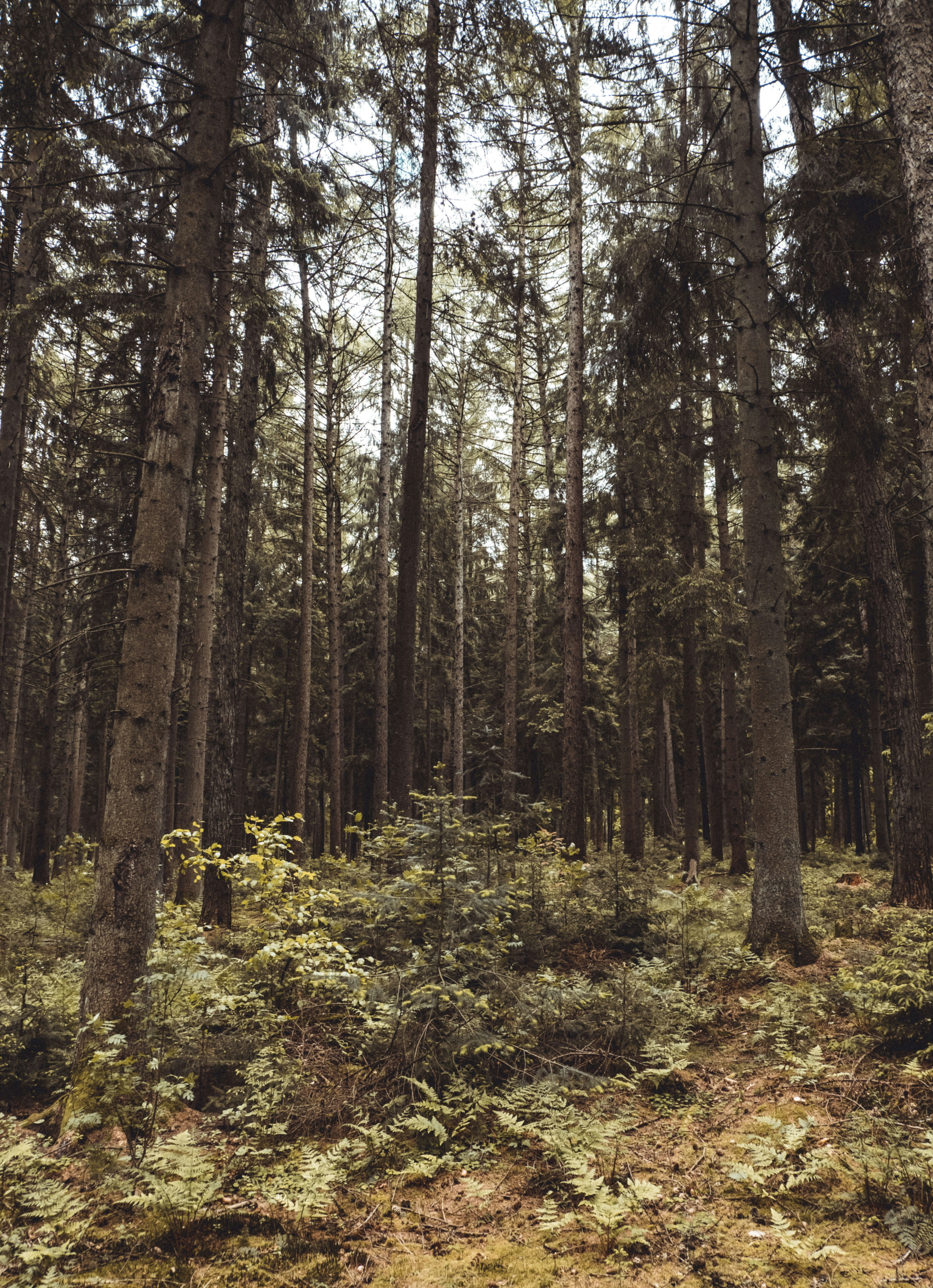 Photo by moritz_photography