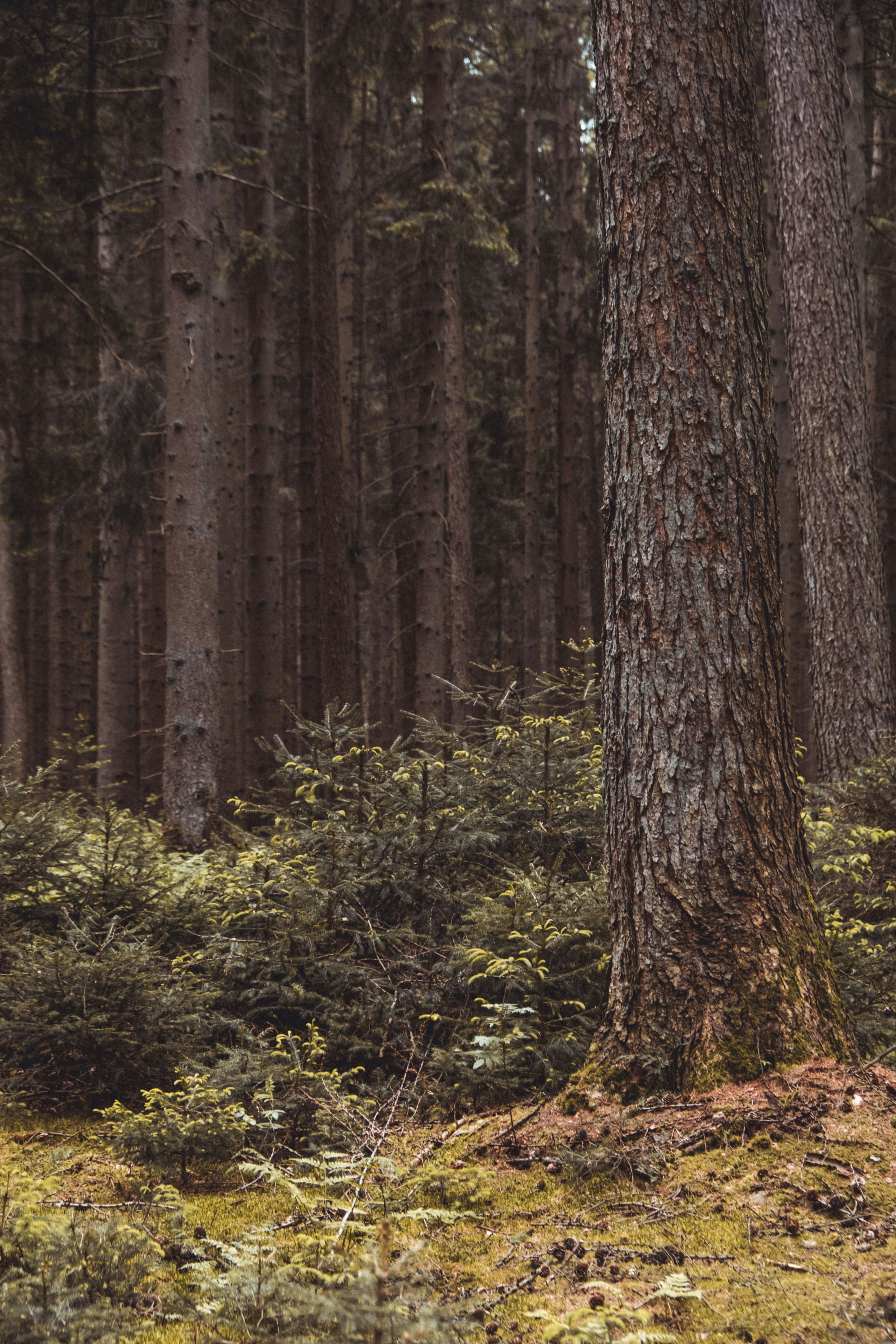 Photo by moritz_photography