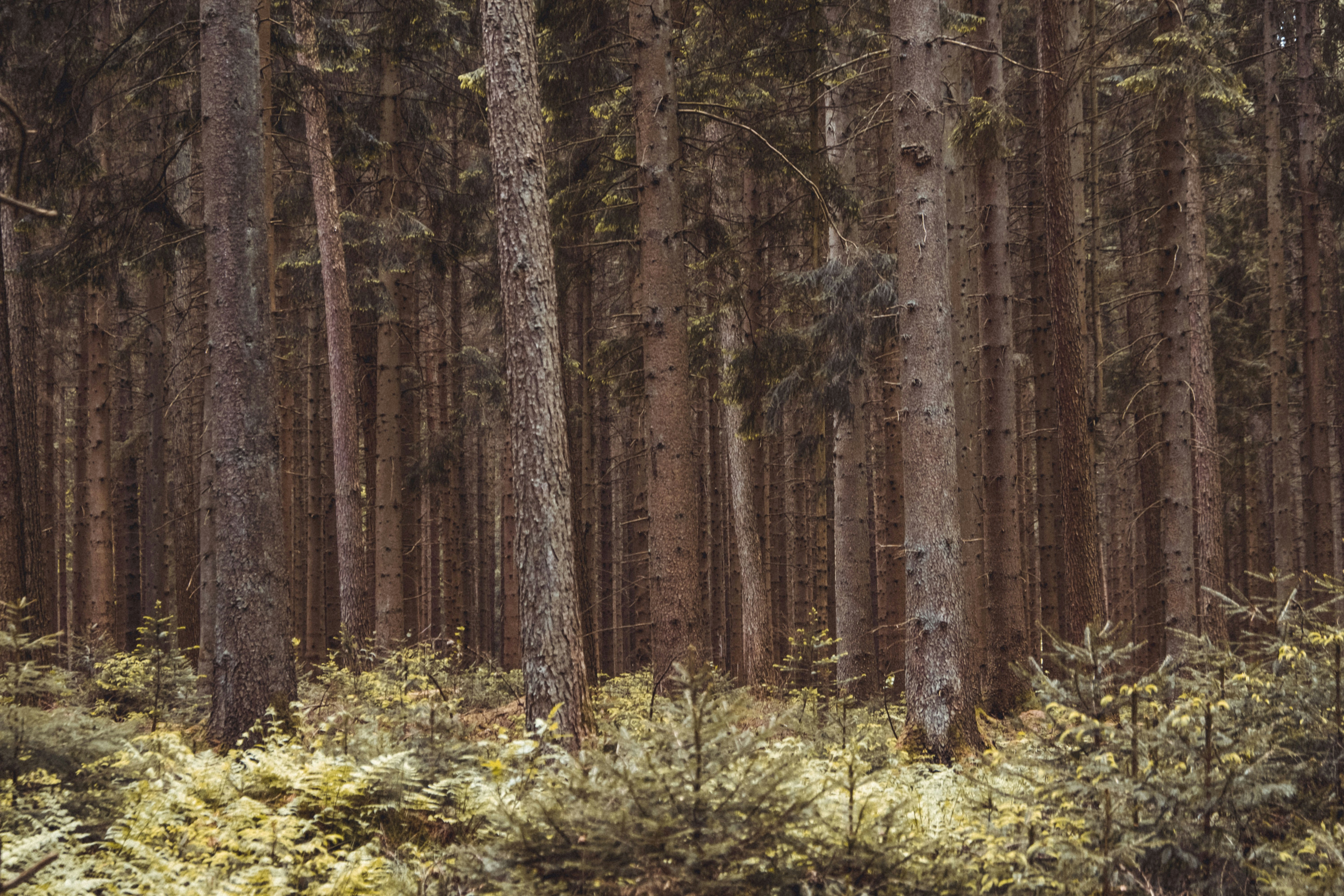 Photo by moritz_photography