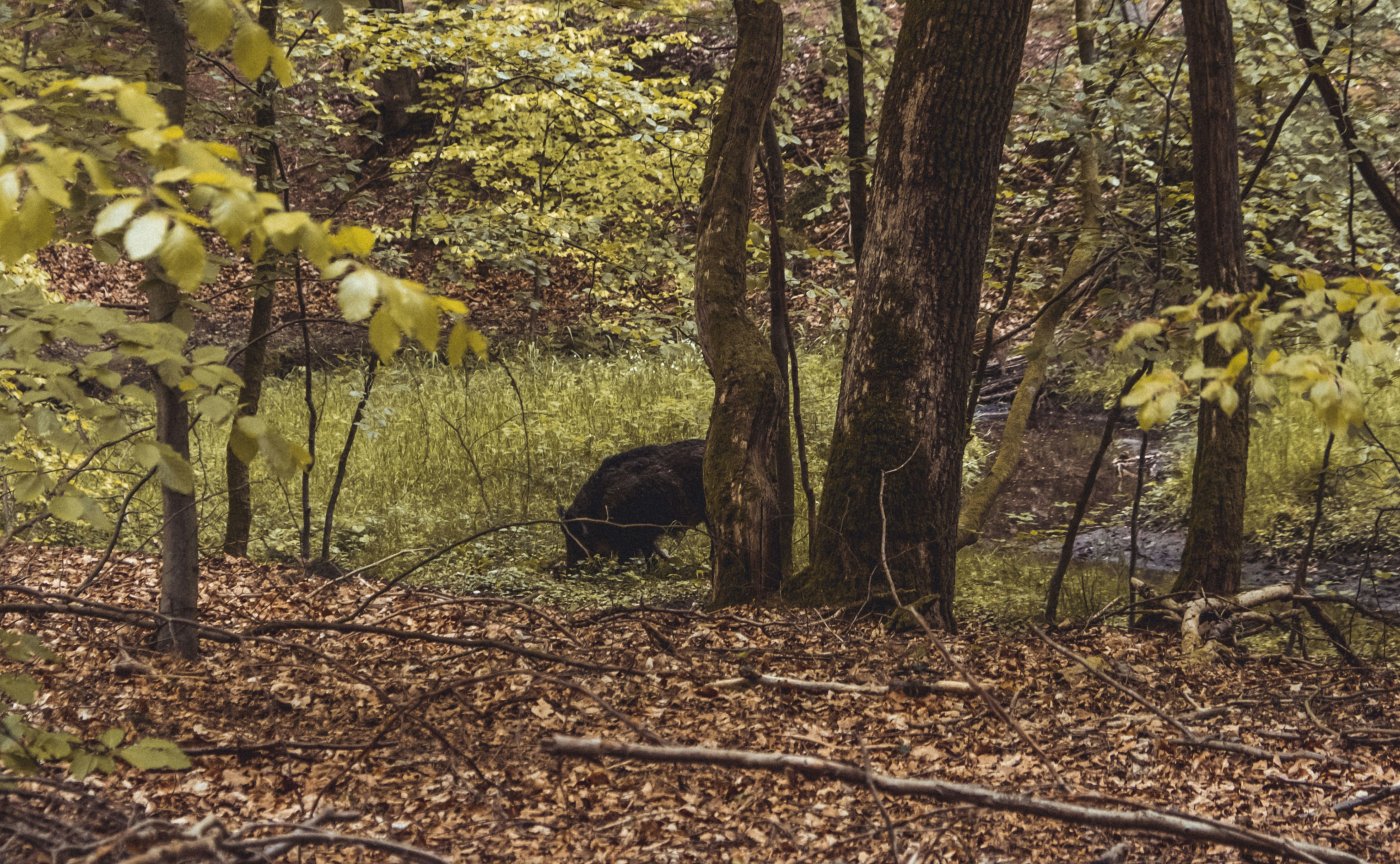 Photo by moritz_photography