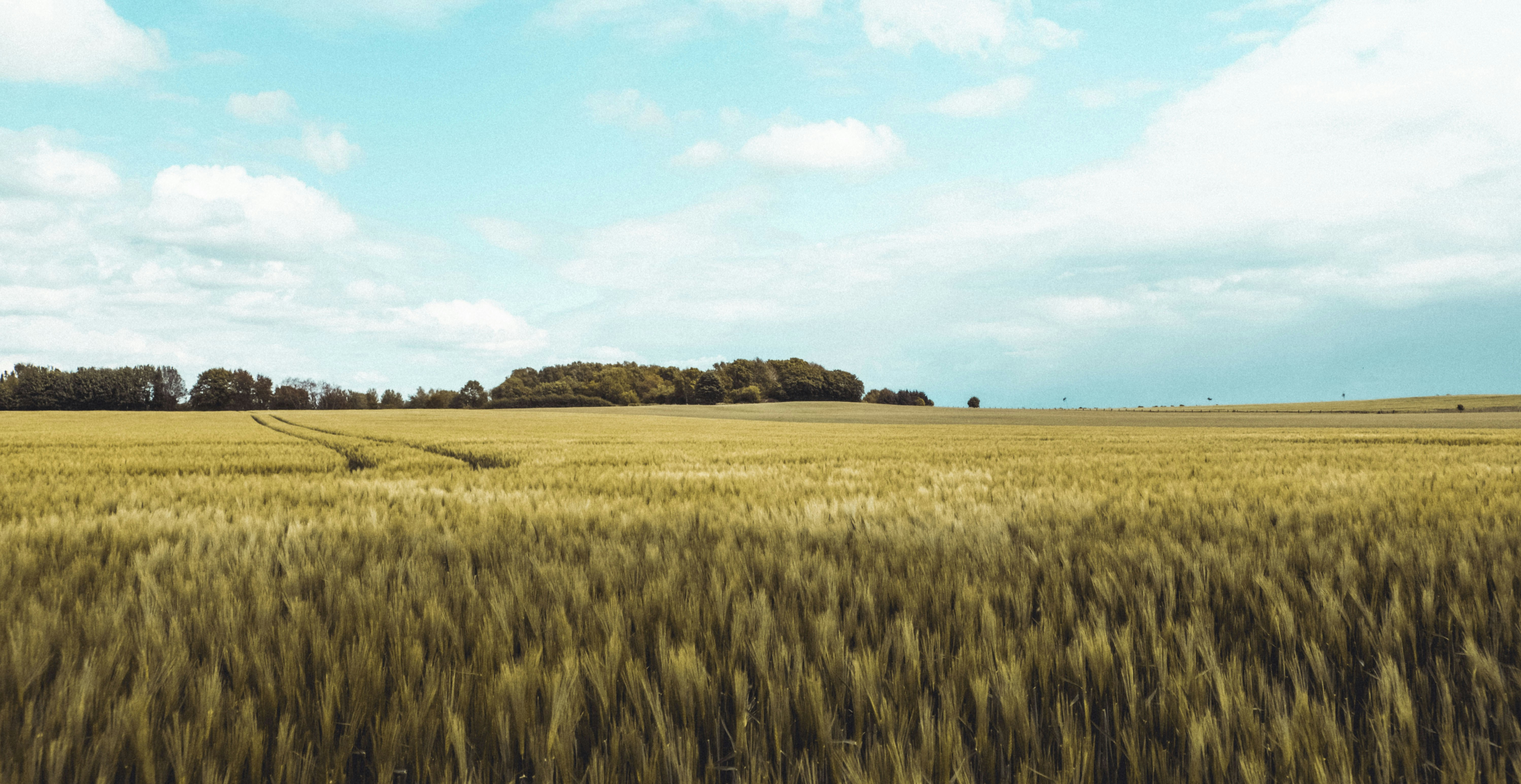 Photo by moritz_photography