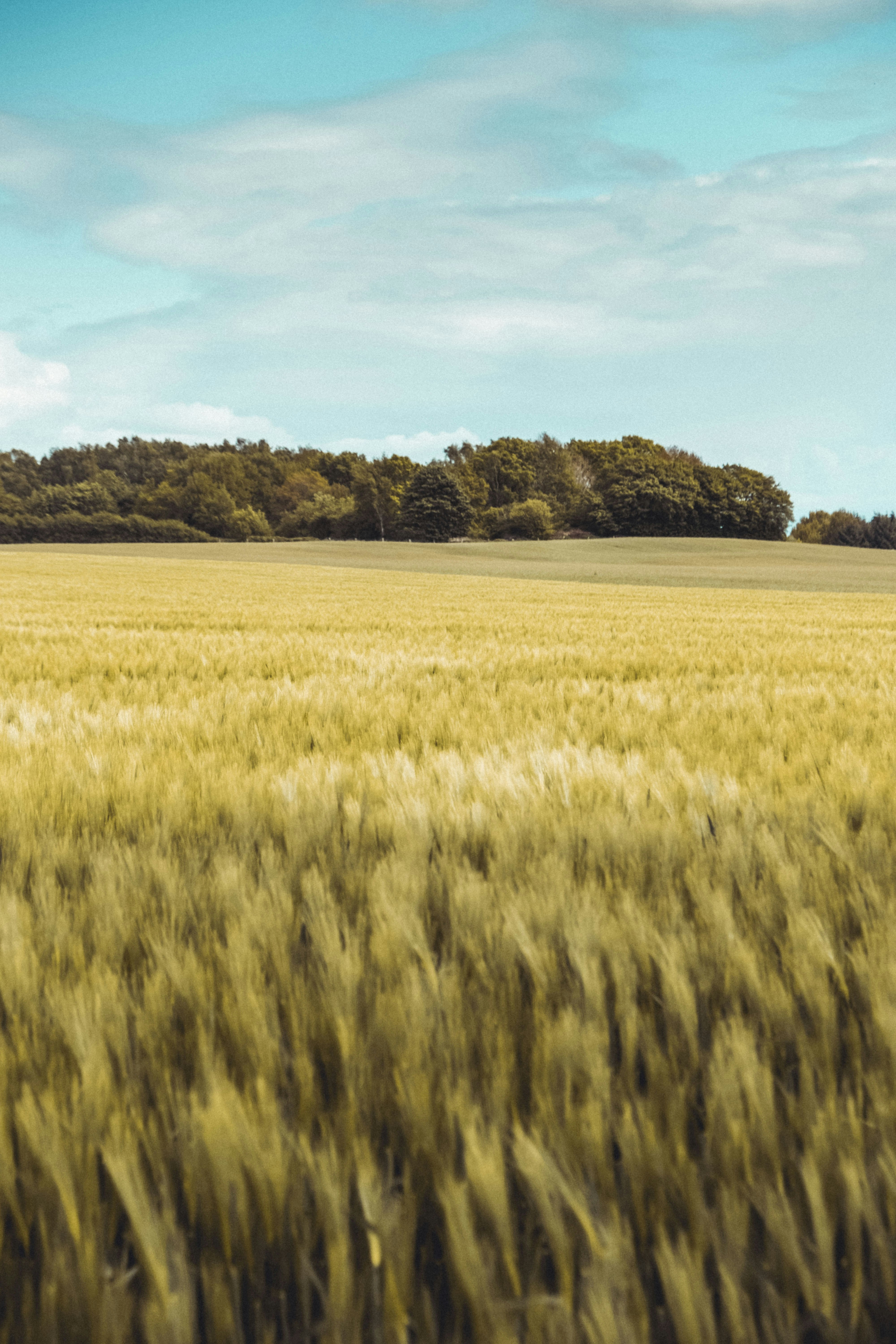 Photo by moritz_photography