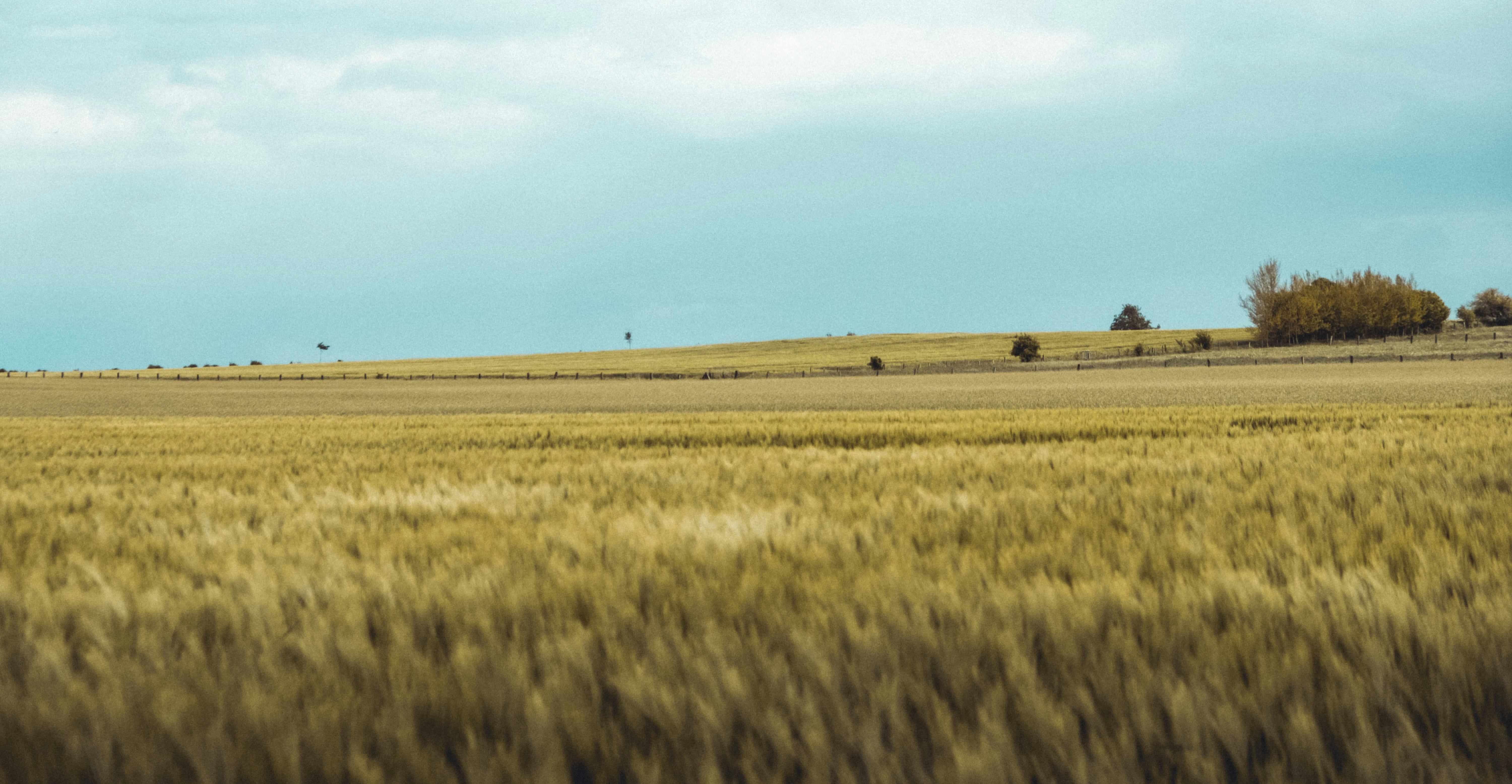 Photo by moritz_photography