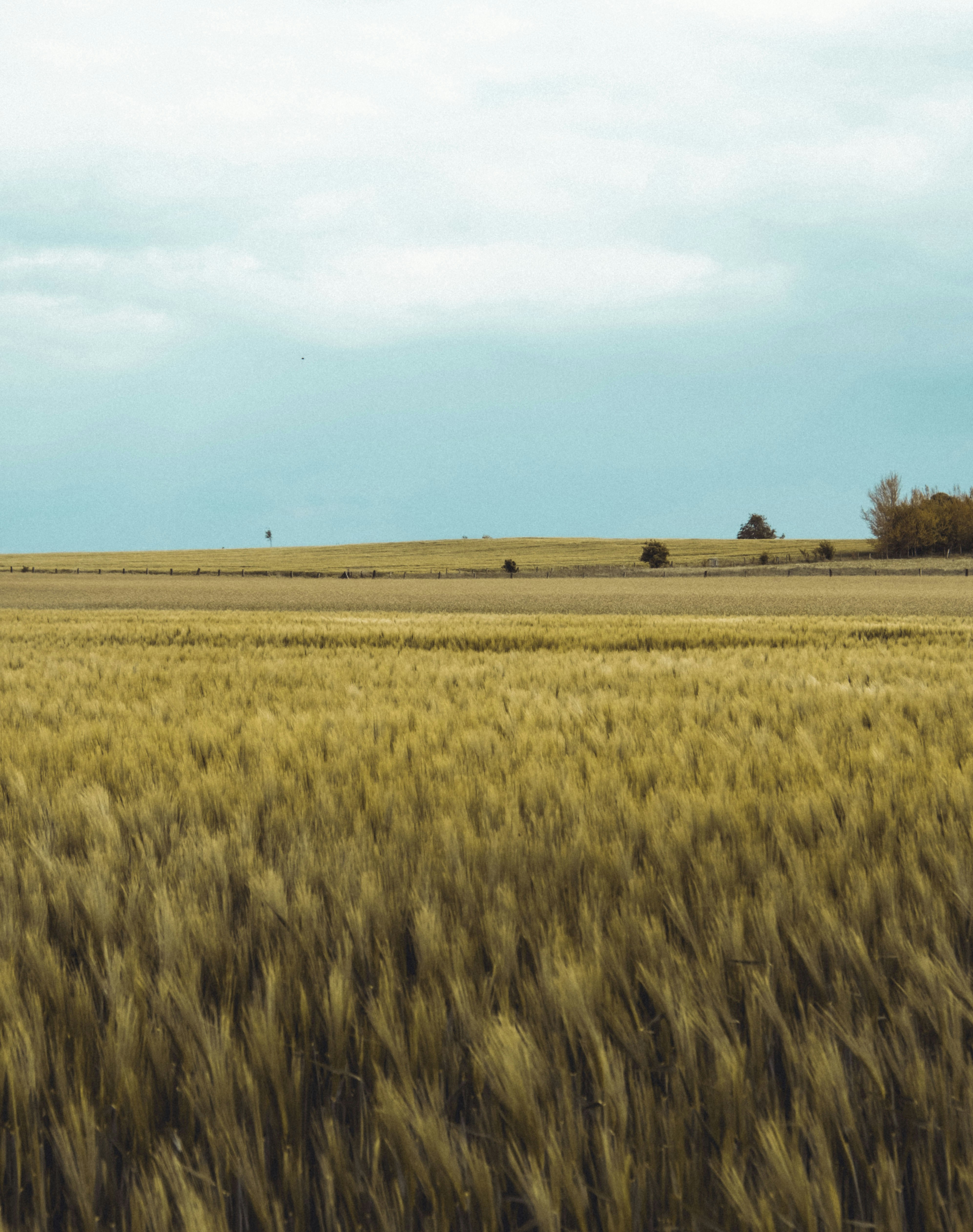 Photo by moritz_photography