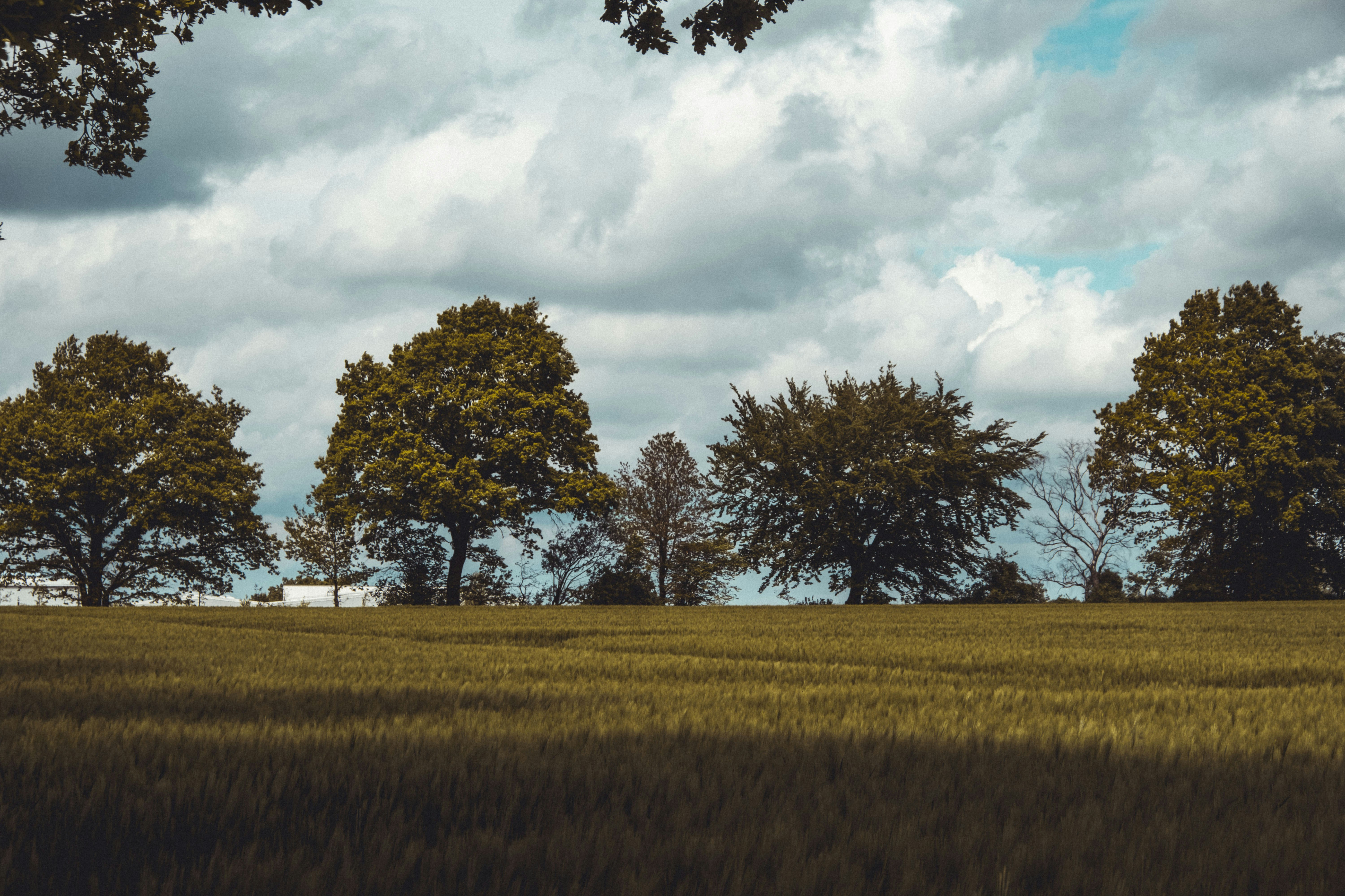 Photo by moritz_photography