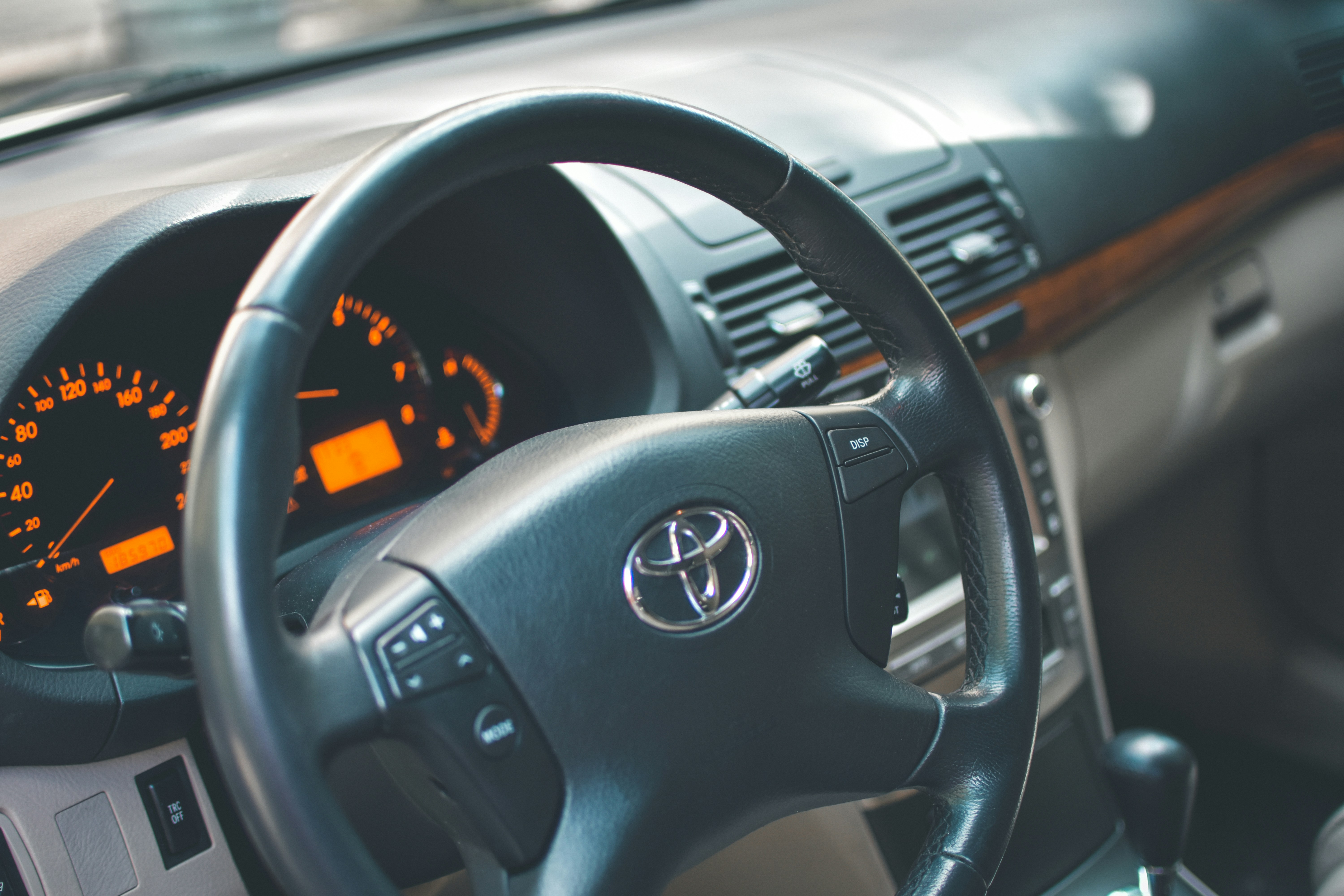 Photo by maxim_mushnikov