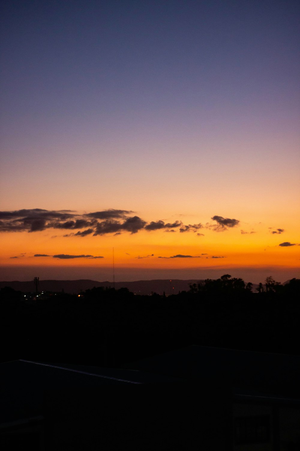 silhouette of trees during sunset