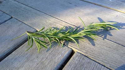 A sprig of rosemary lies on a wooden surface, casting a shadow. The wood has a weathered, grey appearance, and the herb's leaves are a vibrant green.