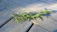 Close-up of rosemary and lavender sprigs intertwined on rustic wooden table.