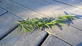 A sprig of rosemary lies on a wooden surface, casting a shadow. The wood has a weathered, grey appearance, and the herb's leaves are a vibrant green.