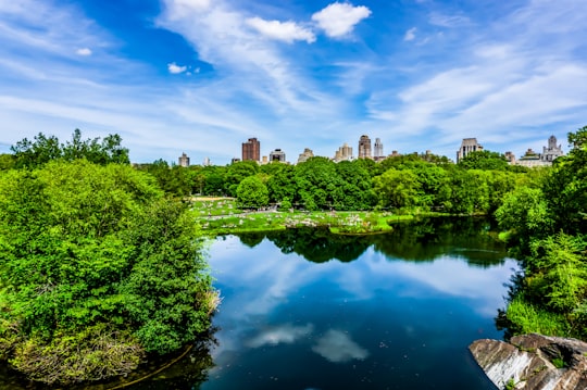 green trees near body of water under blue sky during daytime in Central Park United States