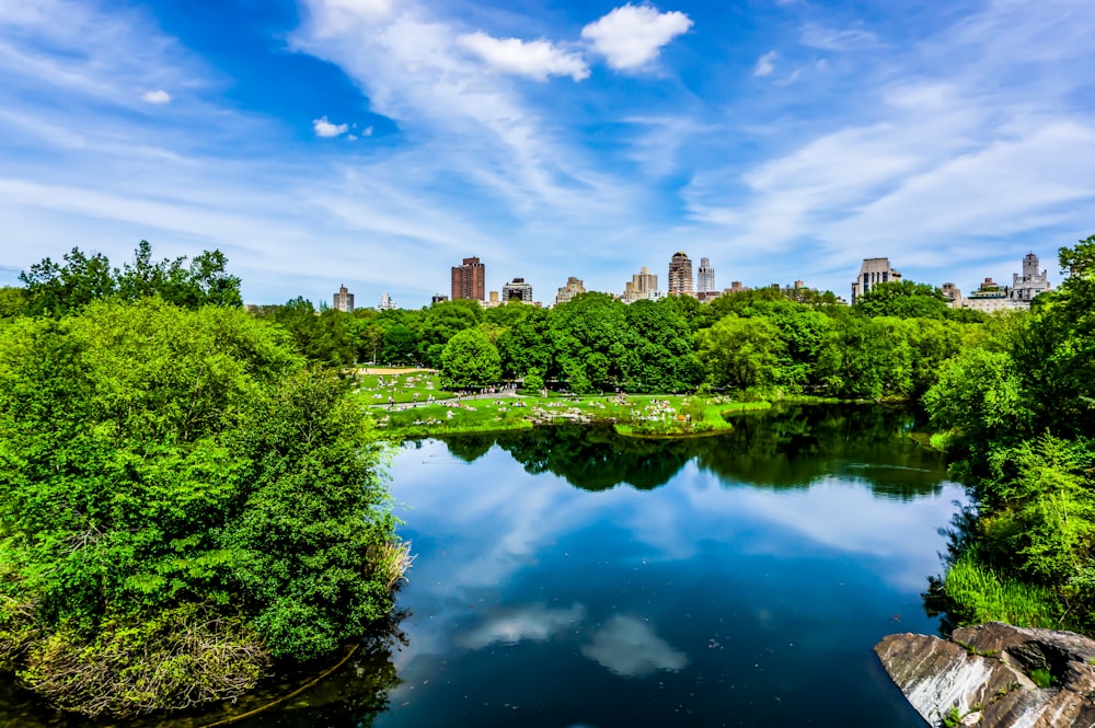 green trees near body of water under blue sky during daytime