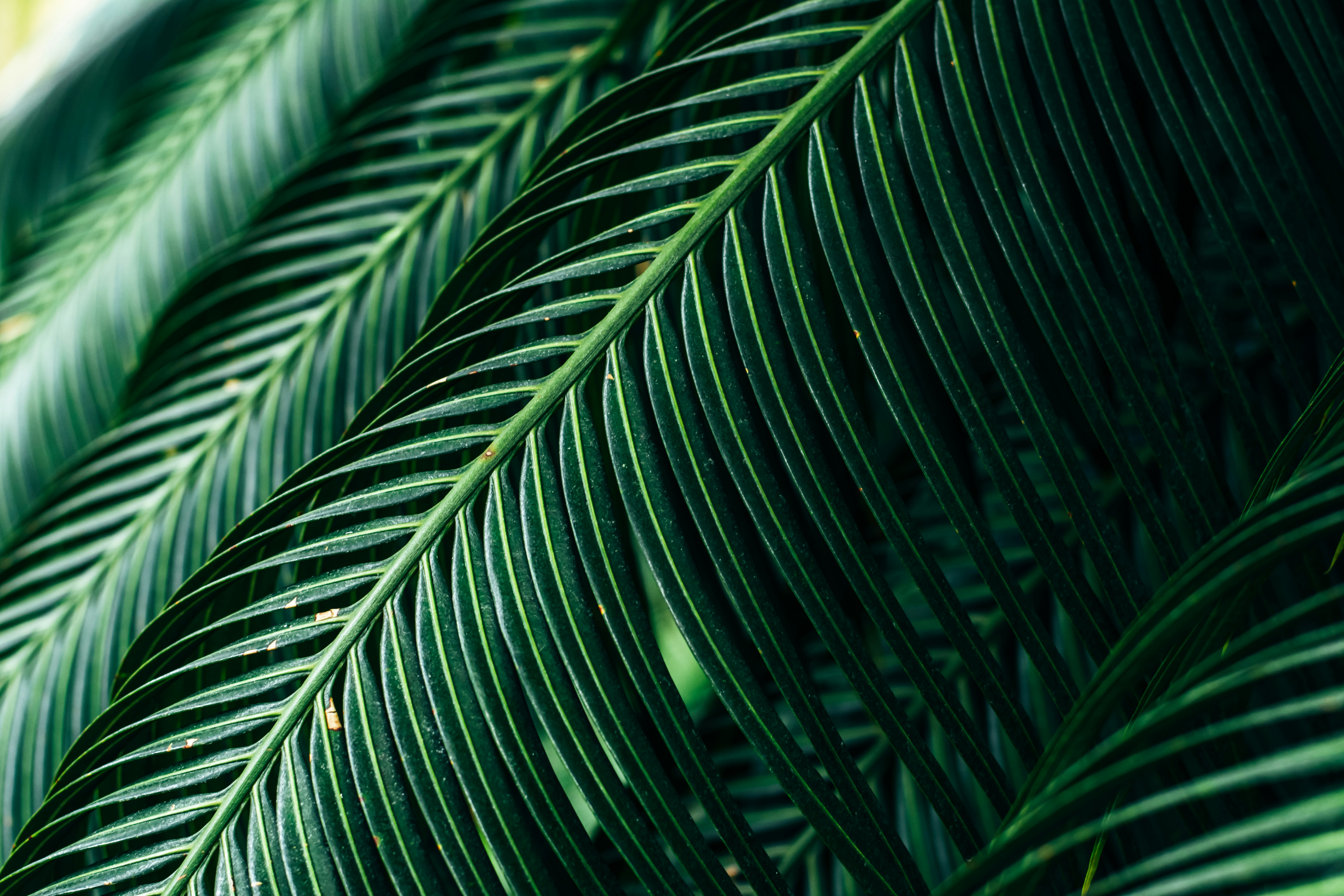 Photo by eugenivy_now