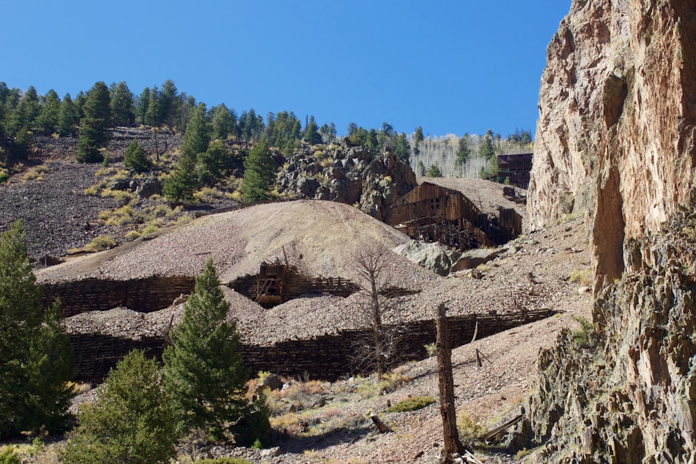 green trees near brown rocky mountain during daytime