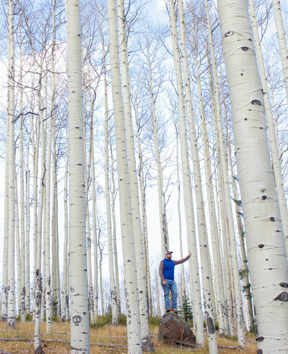 uomo in giacca blu e jeans blu in piedi su alberi nudi grigi durante il giorno