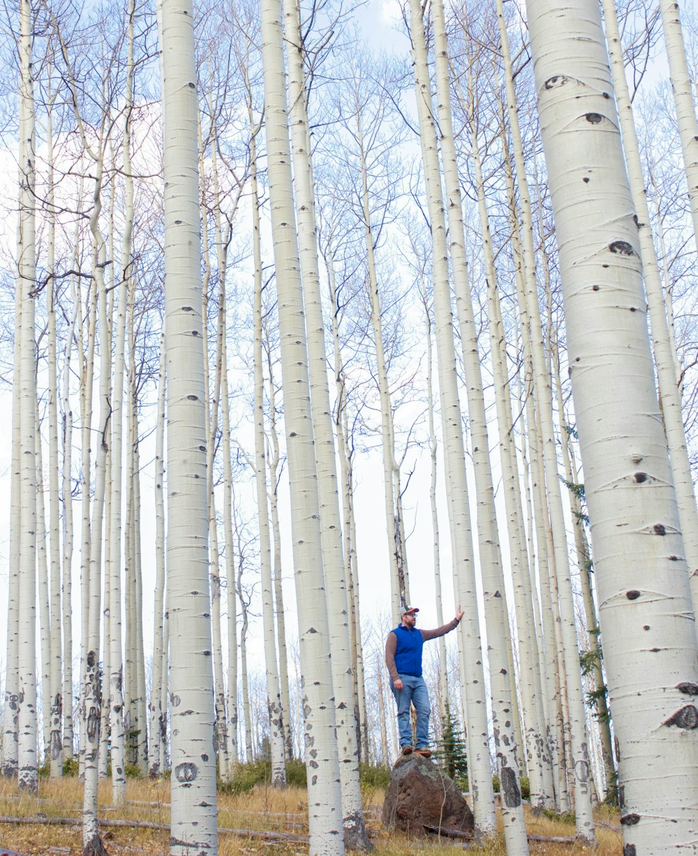 homme en veste bleue et jean bleu debout sur des arbres nus gris pendant la journée