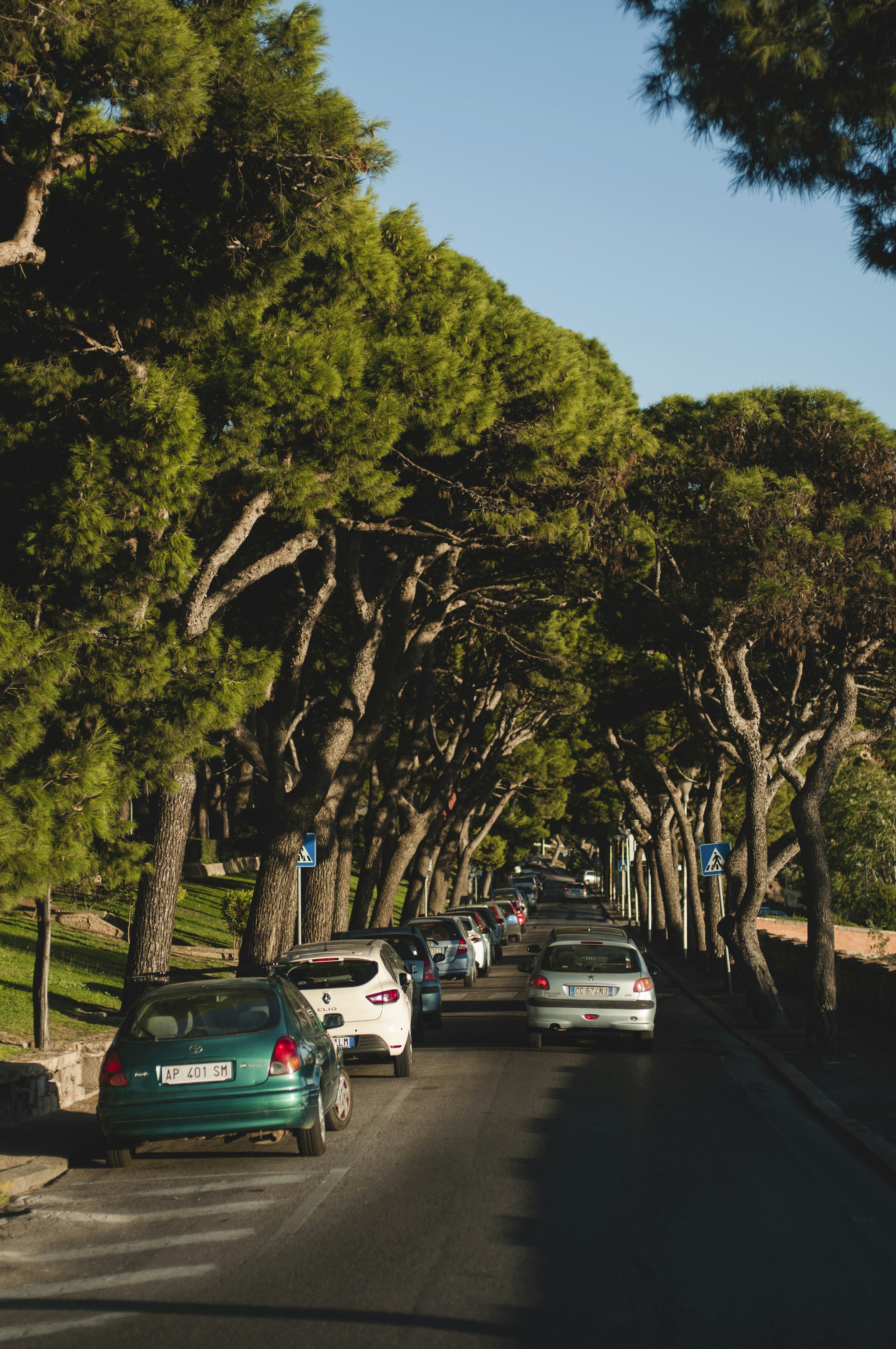 Photo by yuli_superson