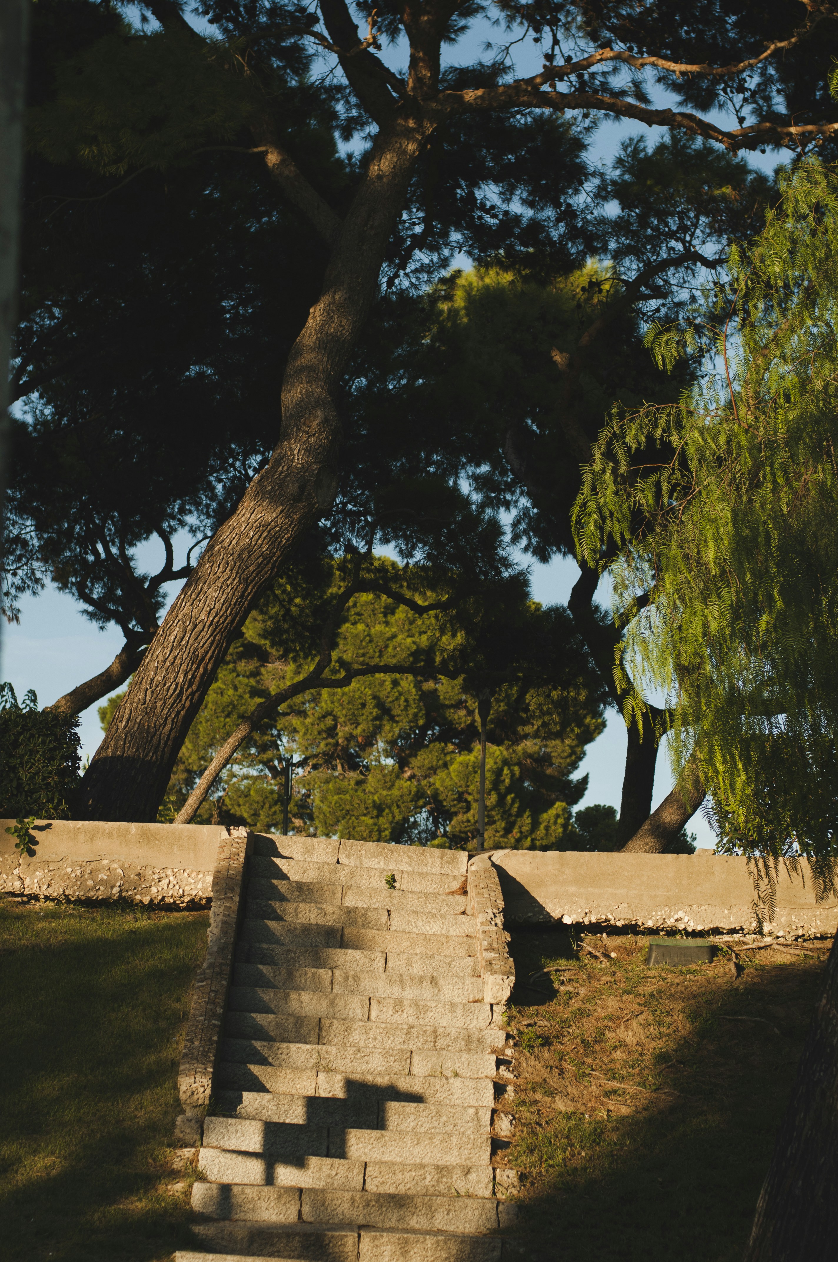 Photo by yuli_superson