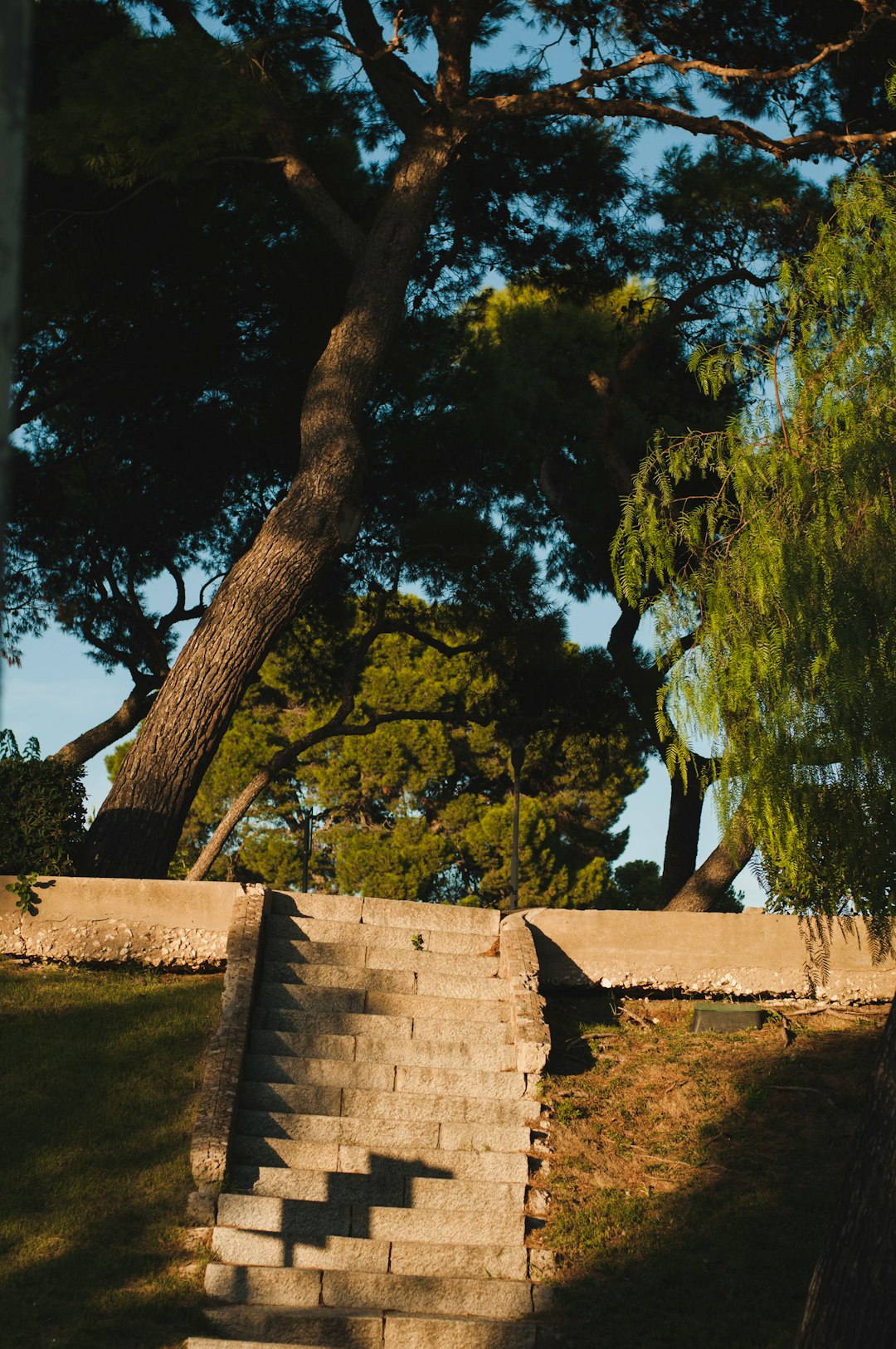 brown concrete wall near green trees during daytime