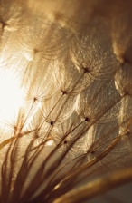 white and brown floral textile