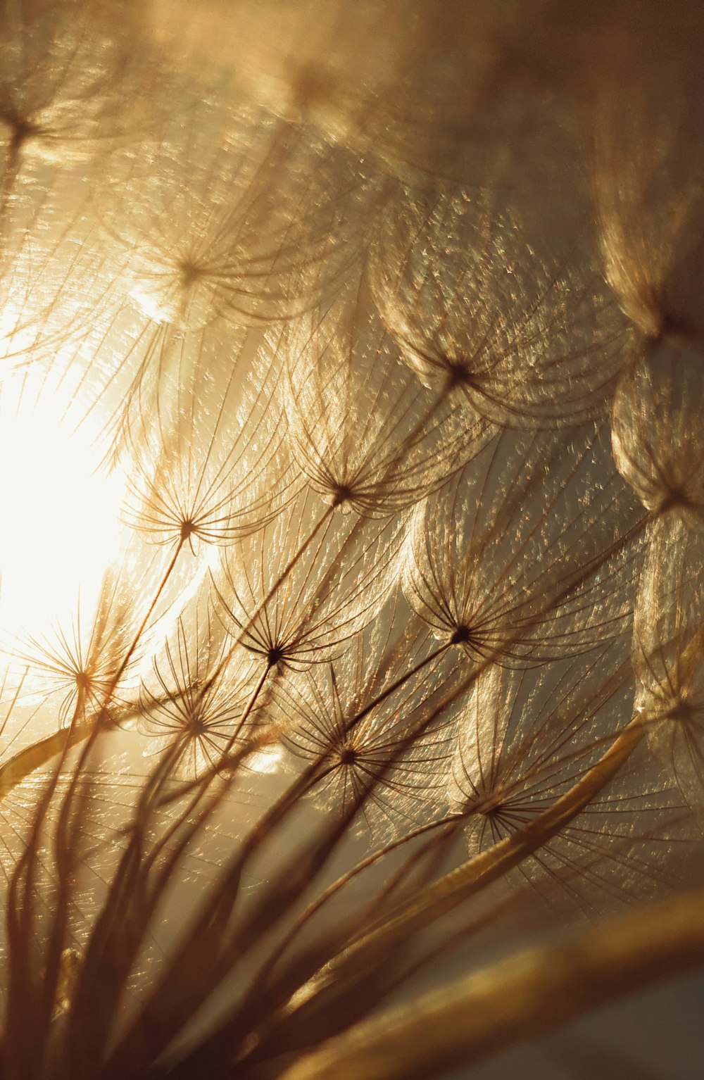 white and brown floral textile