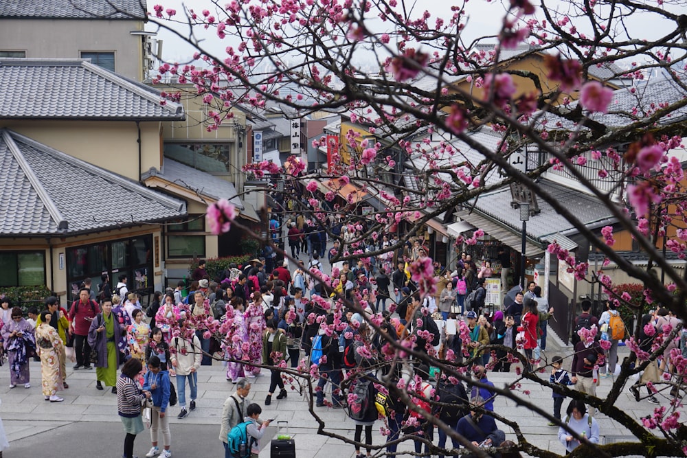 people walking on street during daytime