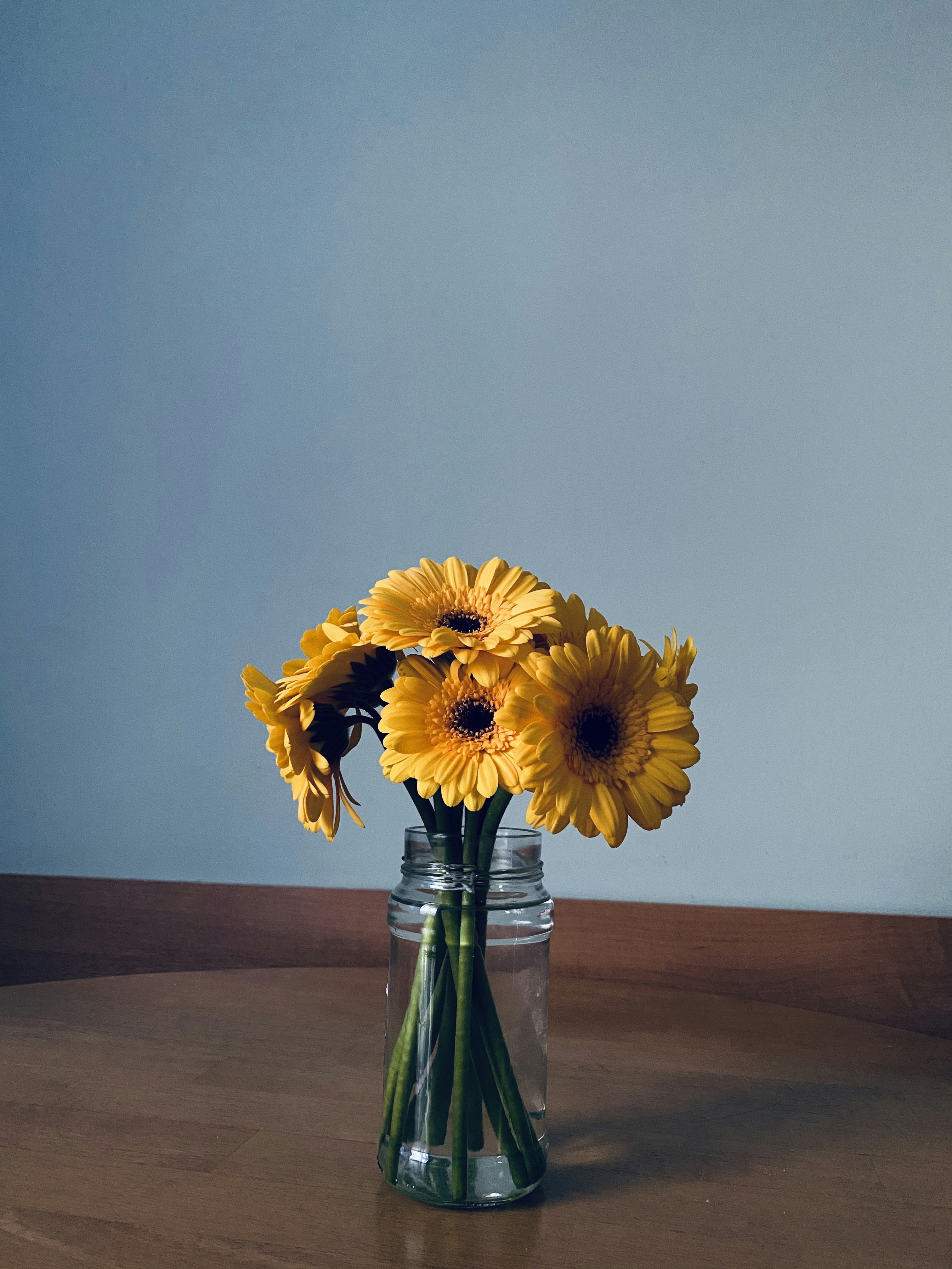 Photo by feliciafelicia