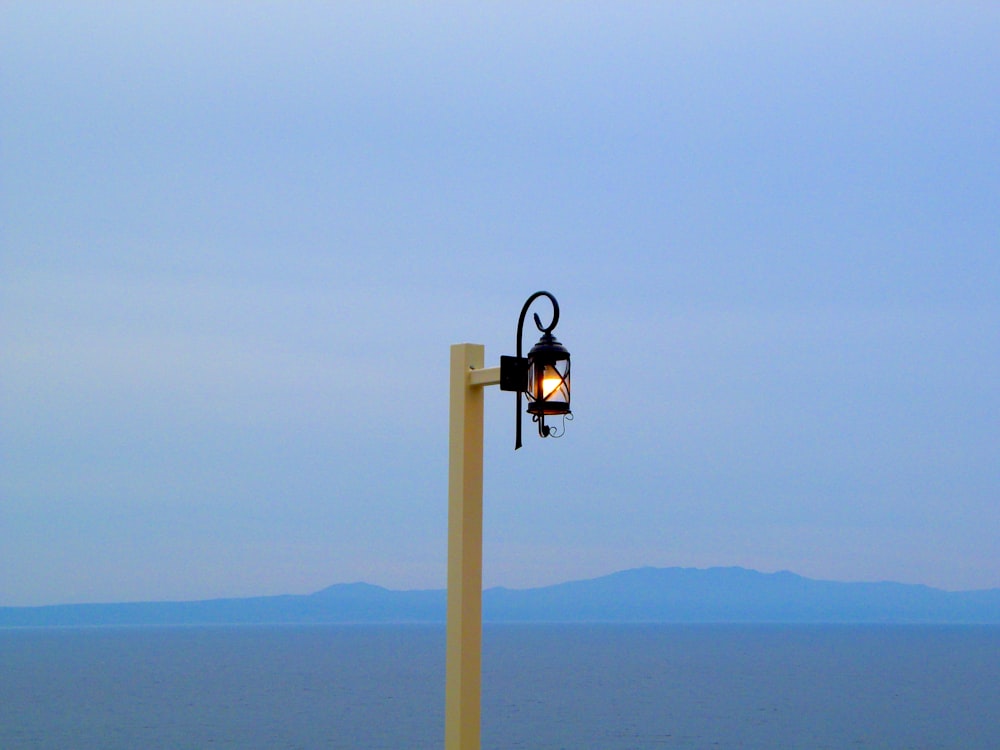 black and brown street light near body of water during daytime