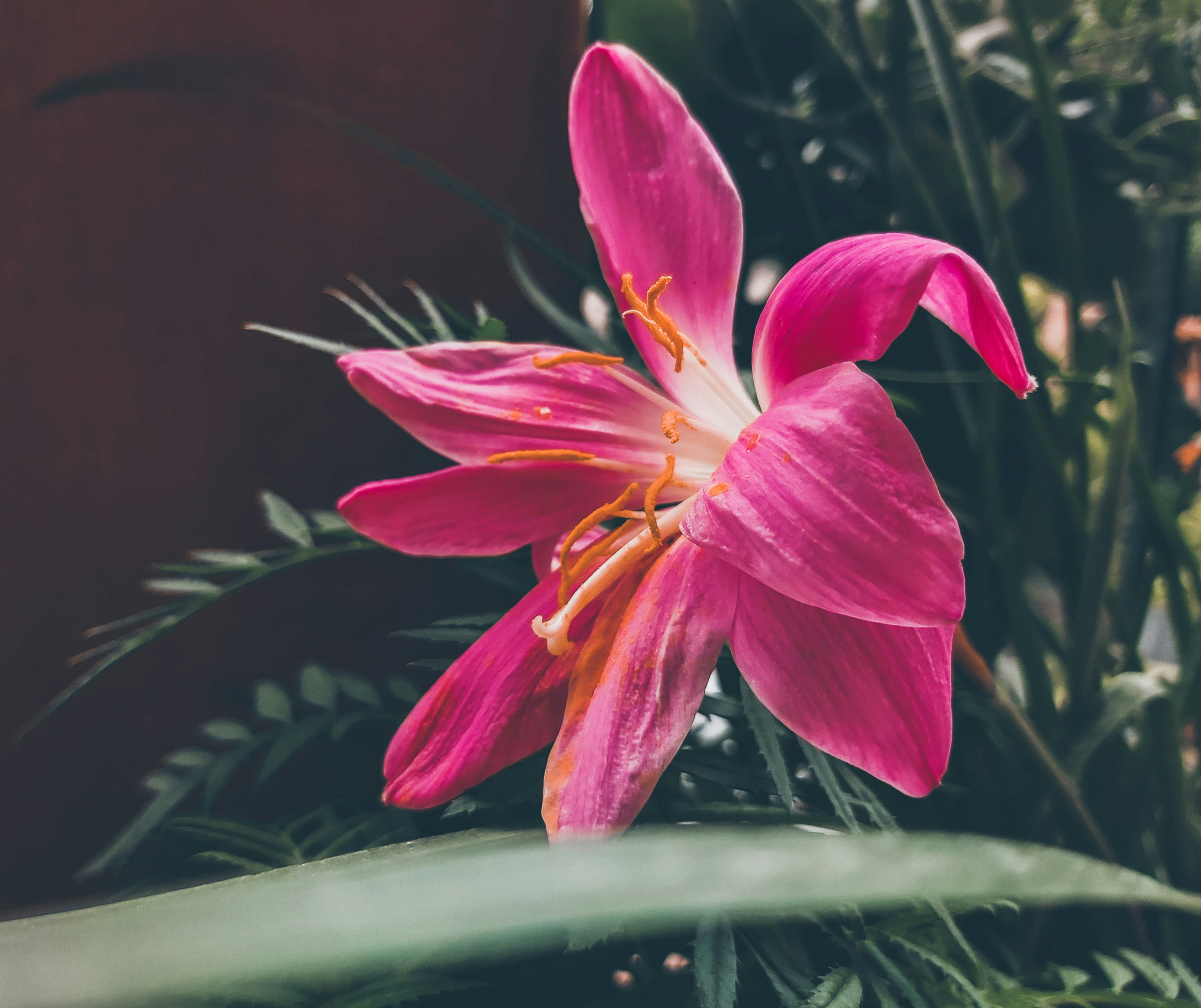 Photo by _tanyashrivastava