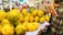 A vibrant market scene with a close-up view of a large pile of yellow and green mangoes displayed on a woven basket covered with paper. Several people in colorful clothing are visible in the background, with one person prominently holding a hand on their stomach while engaging with others.