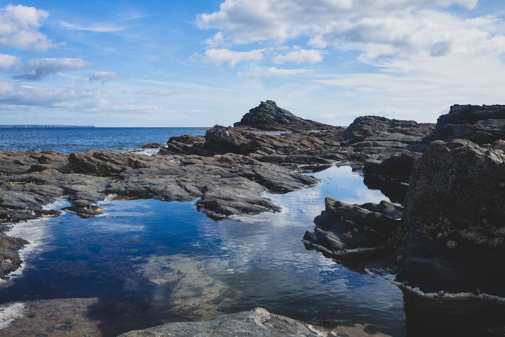 rocky shore under blue sky during daytime