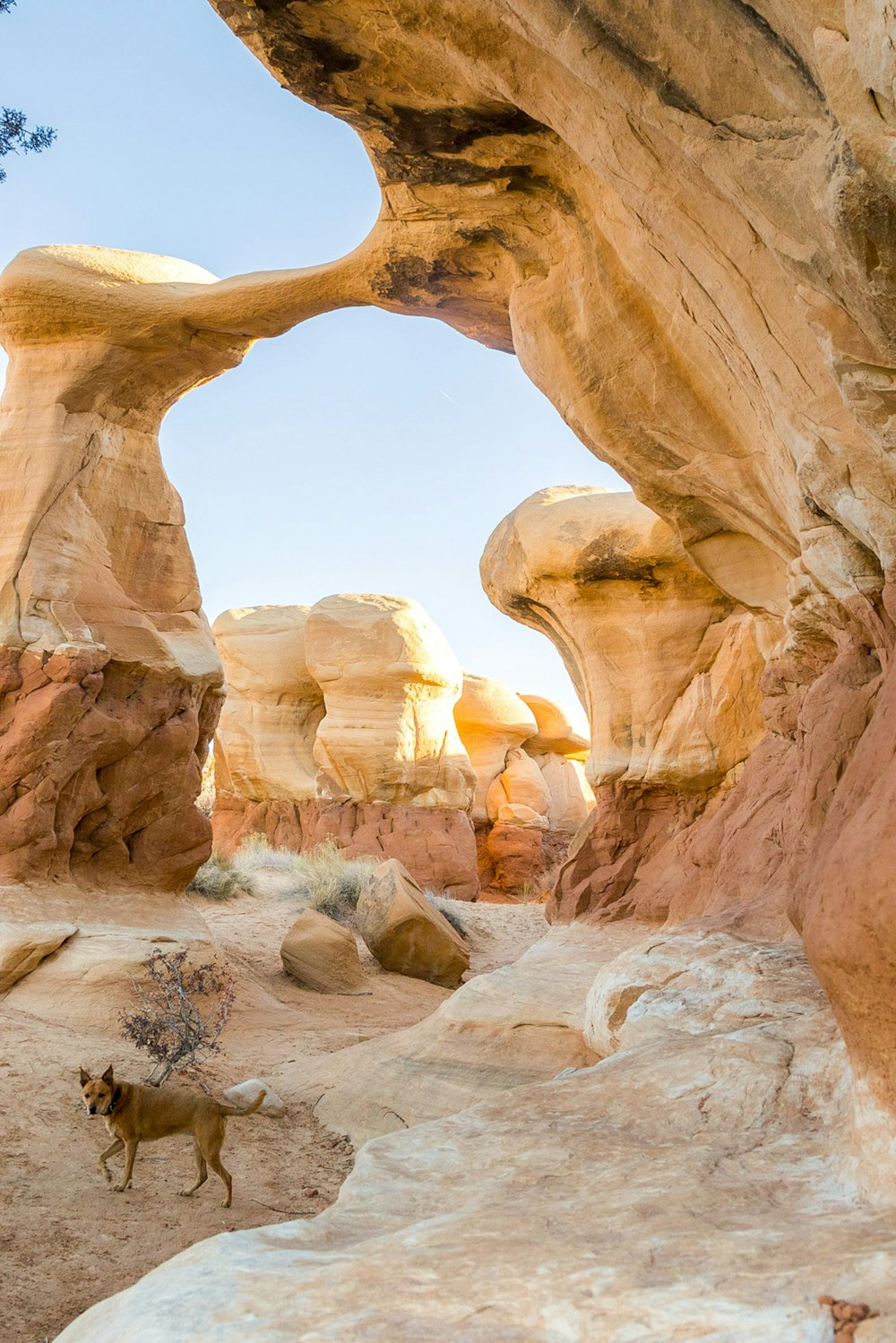 brown rock formation during daytime