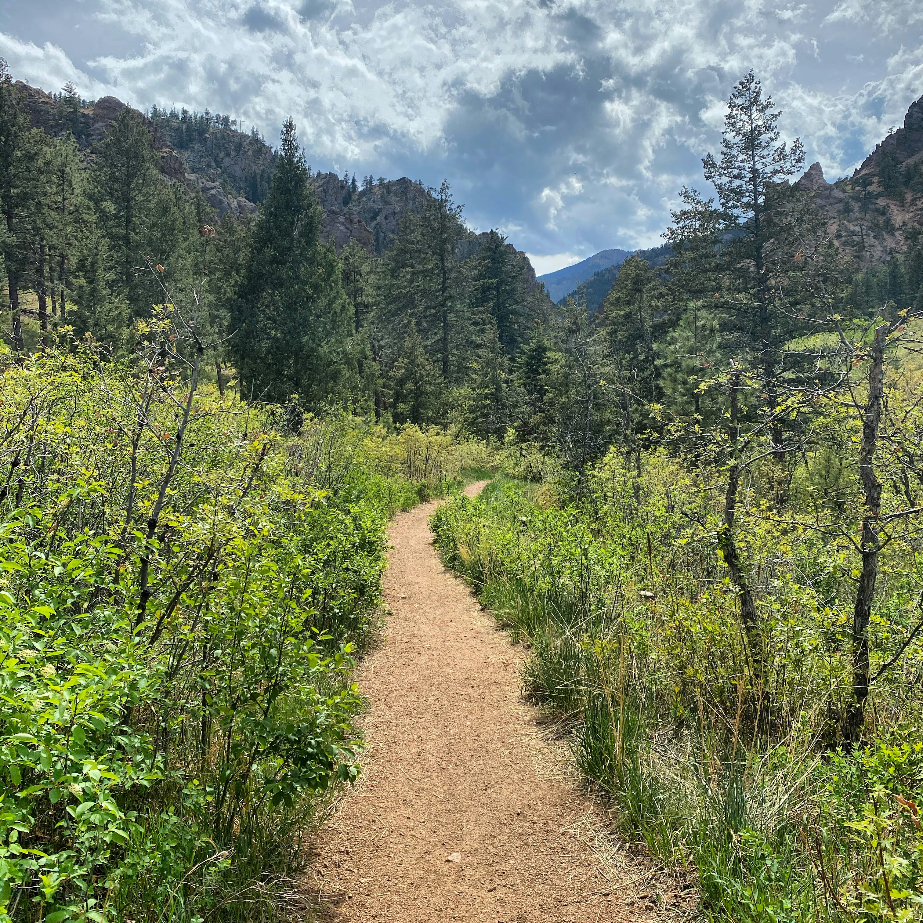 Photo by laitonbarbo