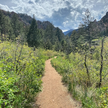 A narrow dirt path winds through a lush forest landscape, framed by dense green foliage and tall pine trees under a partly cloudy sky. Rugged hills and distant mountains create a serene and natural backdrop.