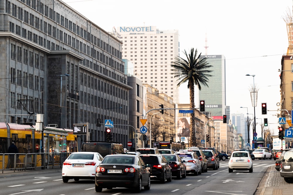 cars on road near buildings during daytime