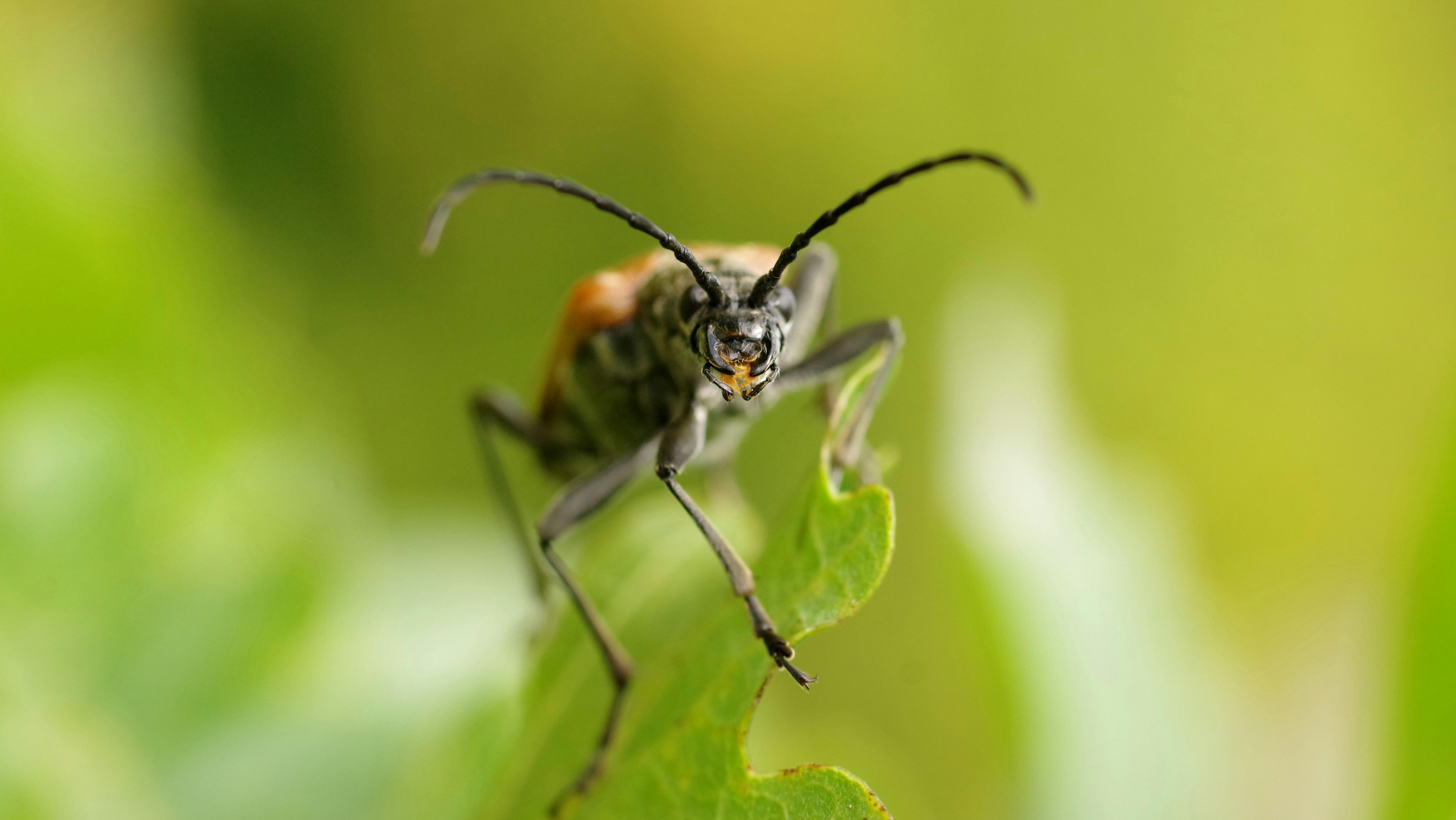 Photo by icimarseille