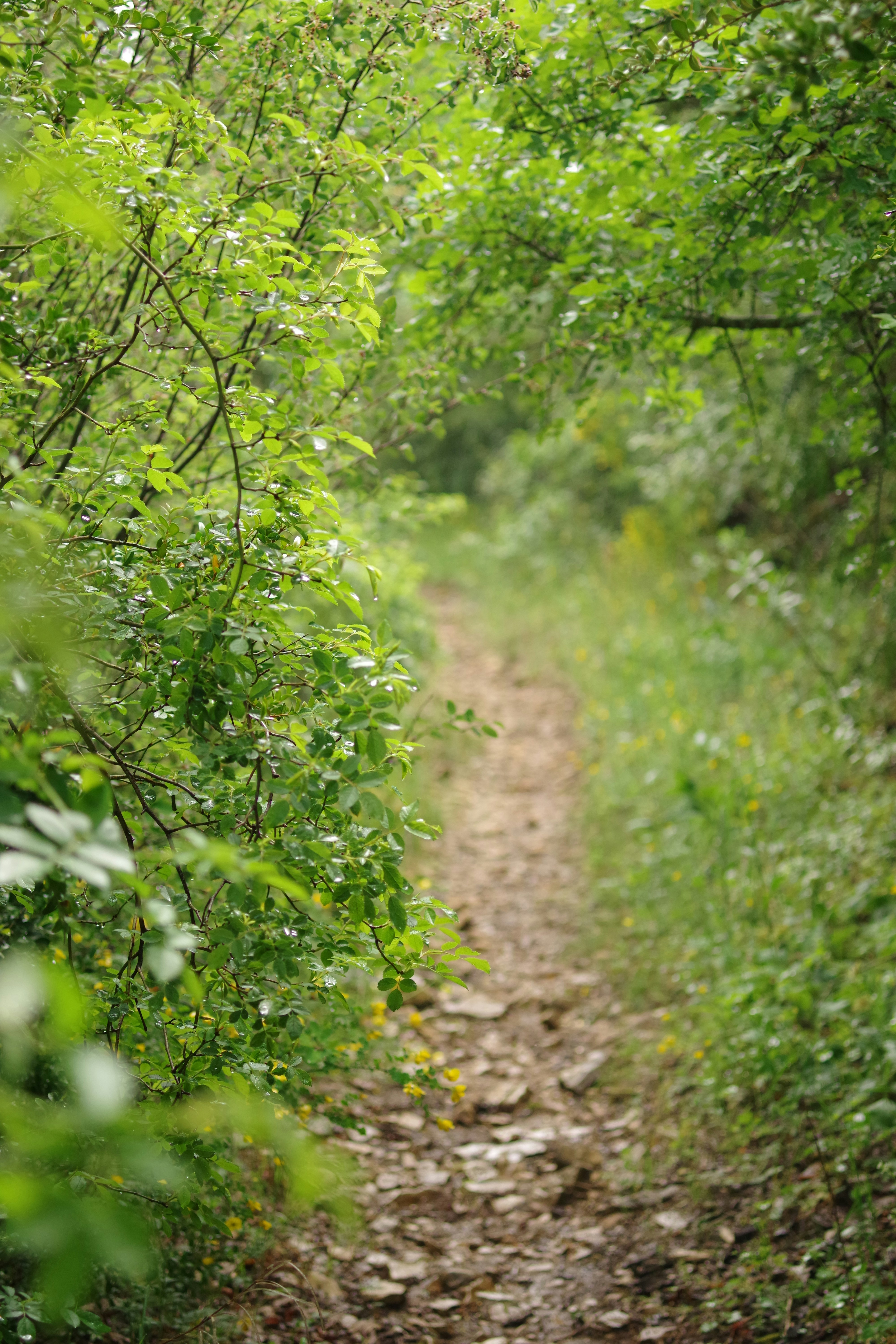 Photo by icimarseille