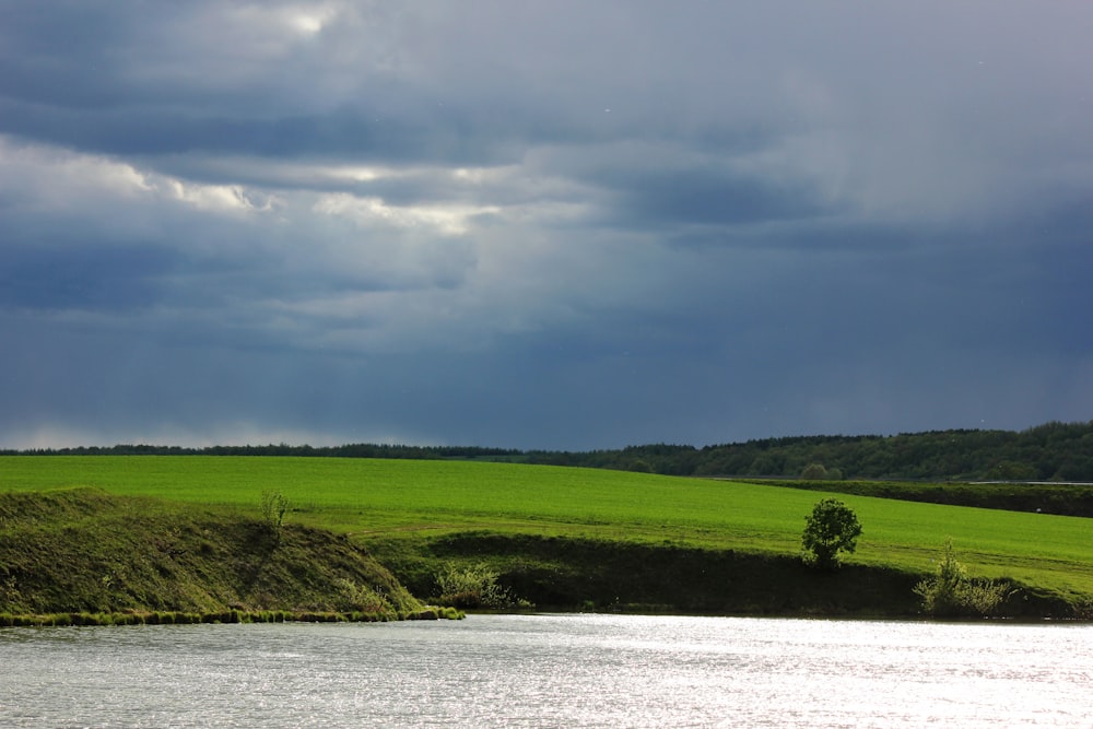 campo di erba verde vicino allo specchio d'acqua sotto il cielo nuvoloso durante il giorno