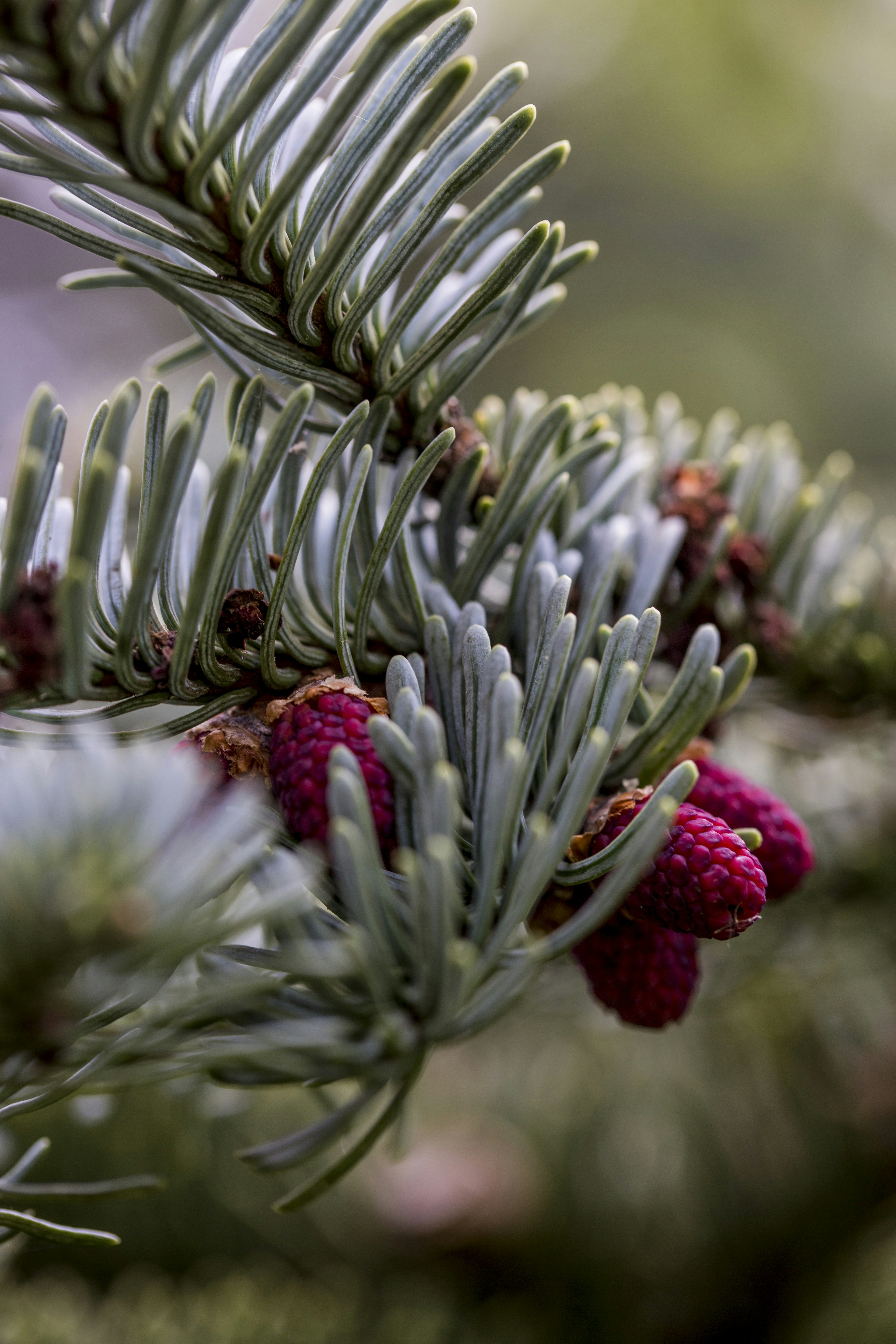 Photo by magdapawluczuk