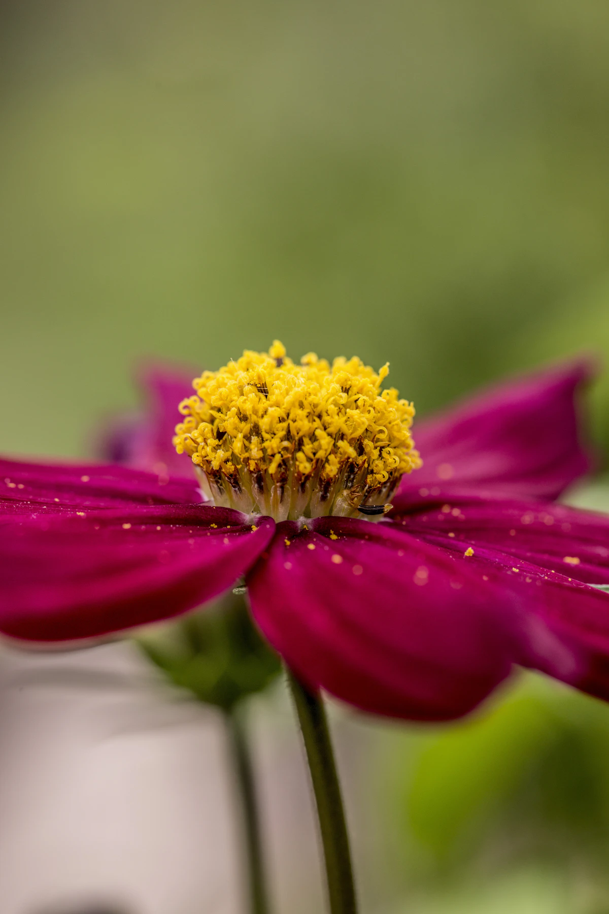 Tips To Improve Indoor Air Quality During Allergy Season
