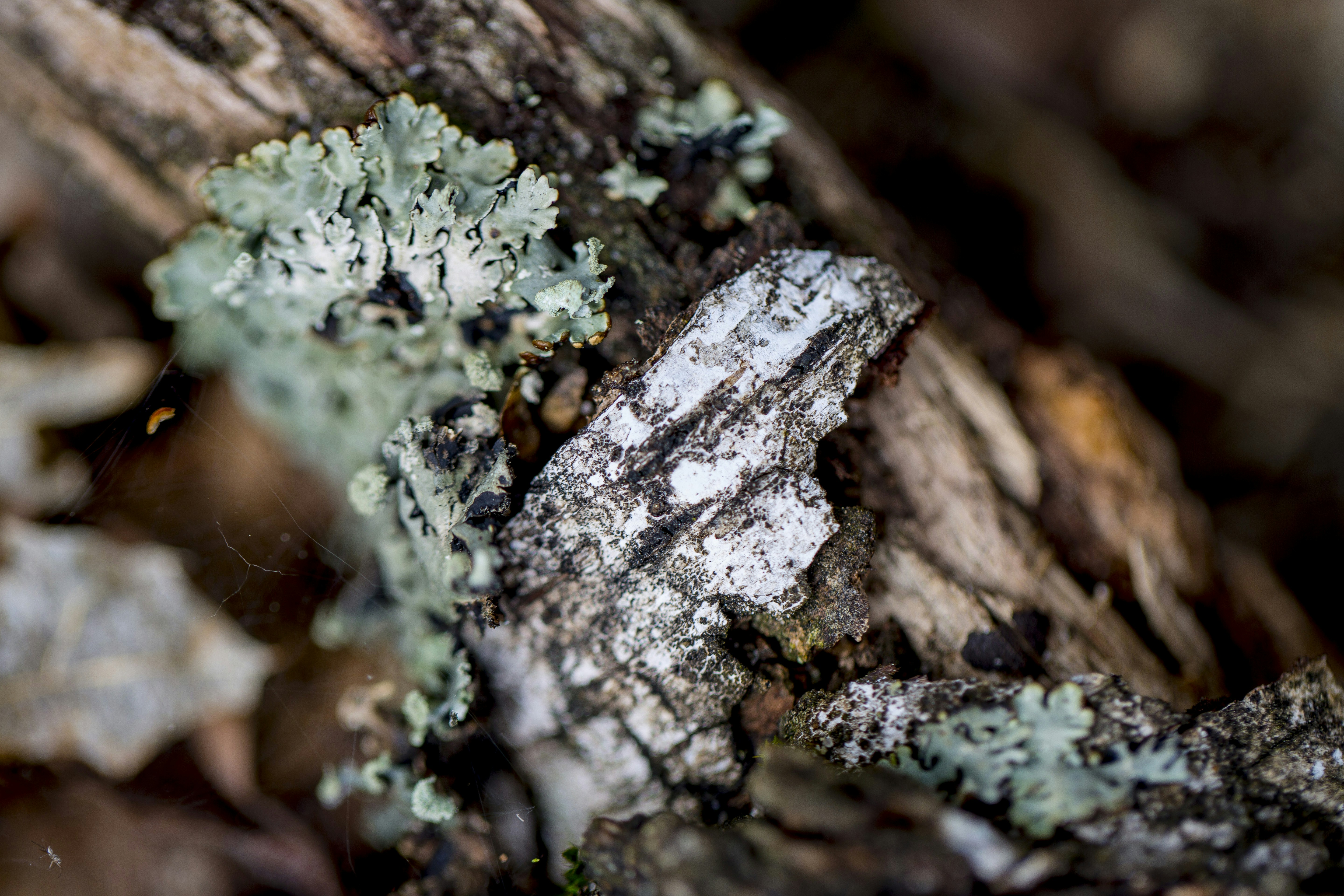 Photo by magdapawluczuk