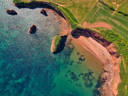 aerial view of green and brown land in Ladram Bay United Kingdom